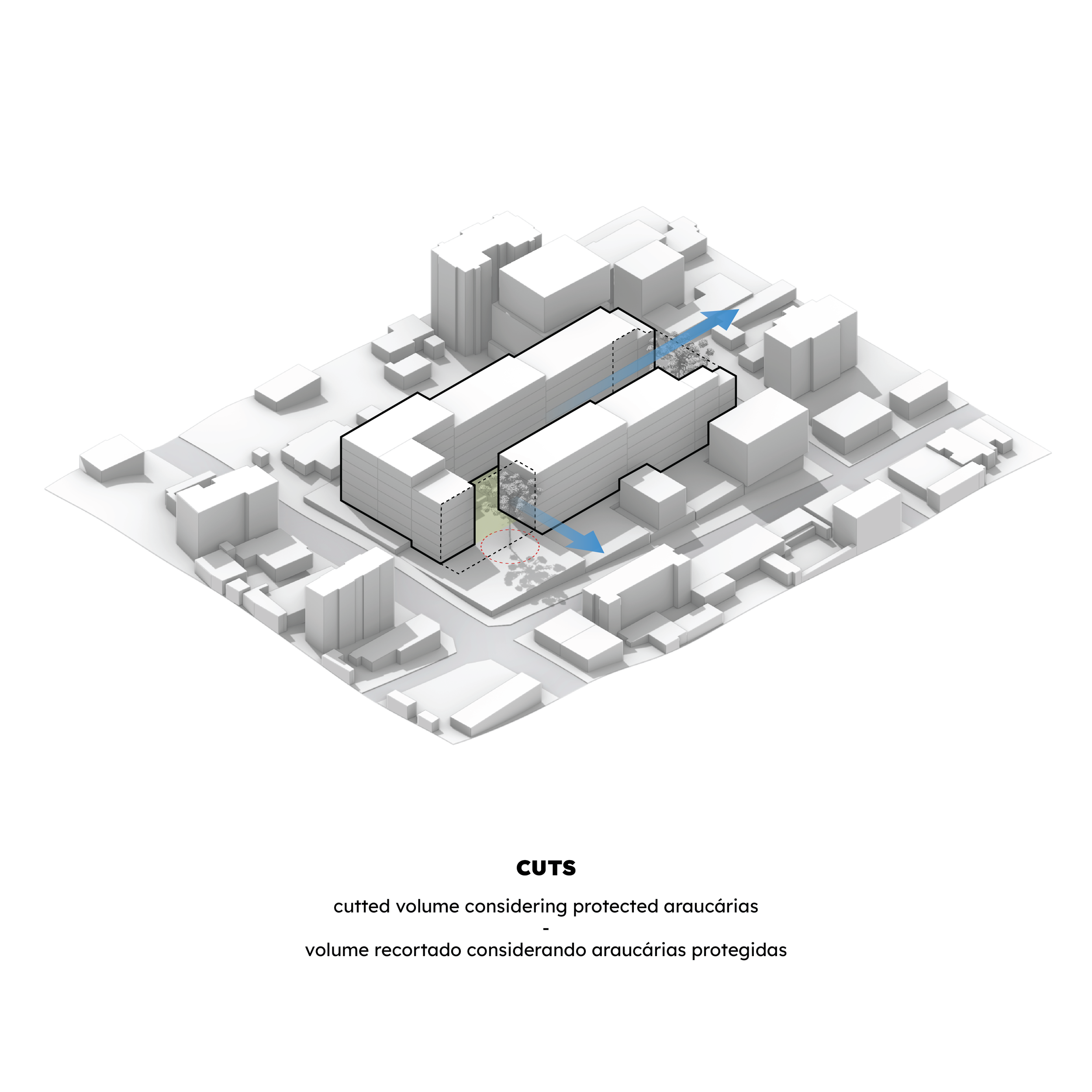 DIG - Anjo-Square_04 Cuts.png