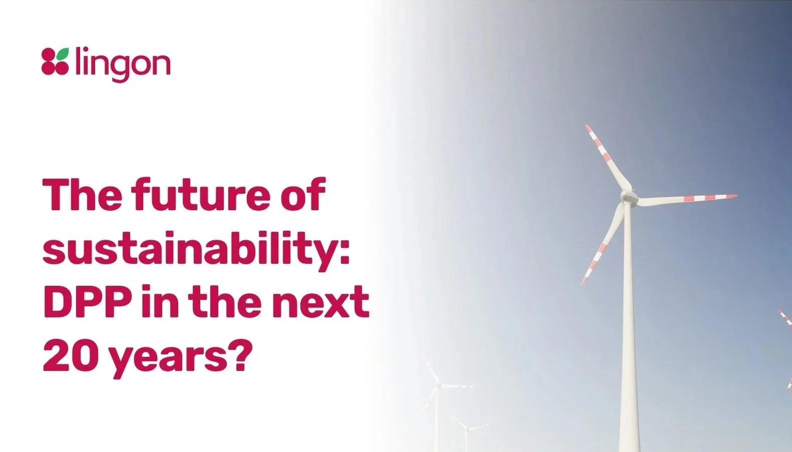The Future of Sustainability: How Digital Product Passports Could Shape the Next 20 Years