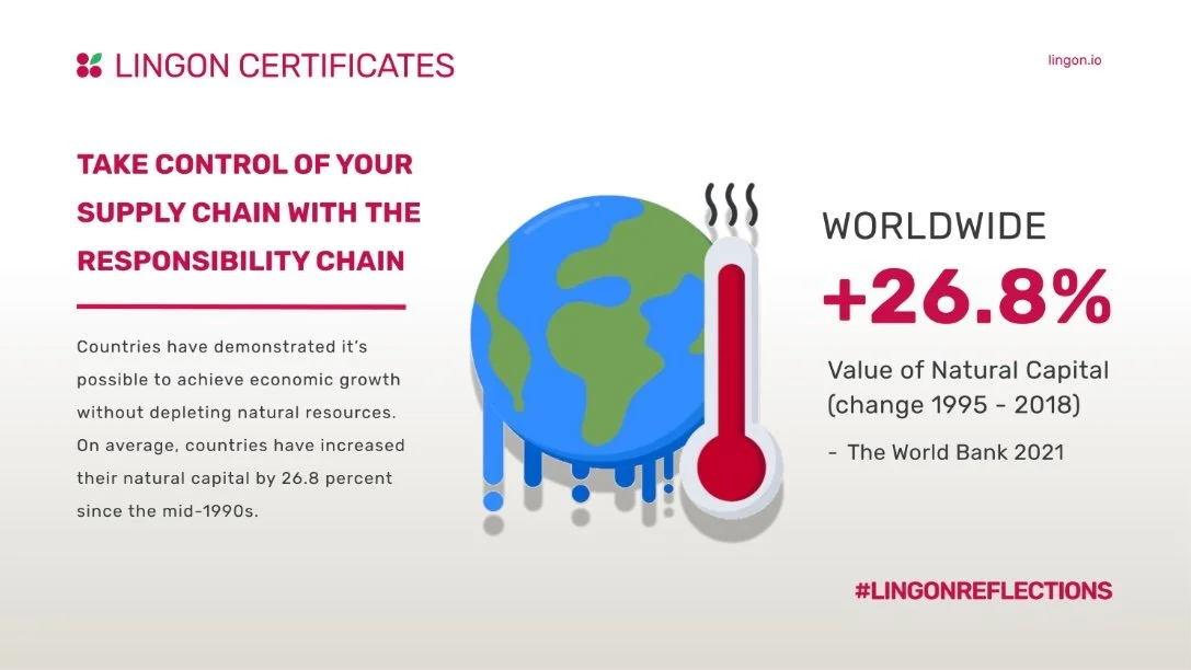 The Business Benefits of a Responsibility Chain