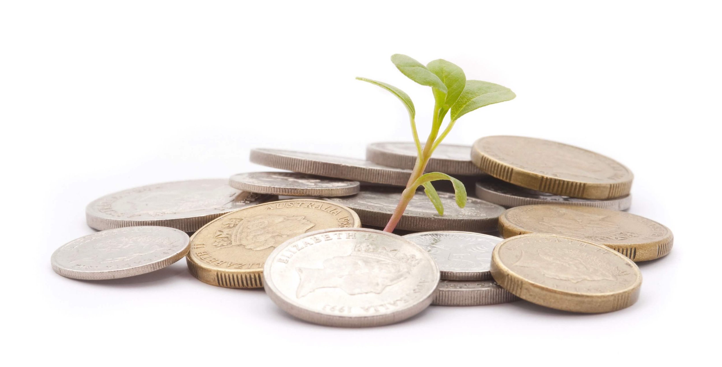 Lingon closed angel investment round