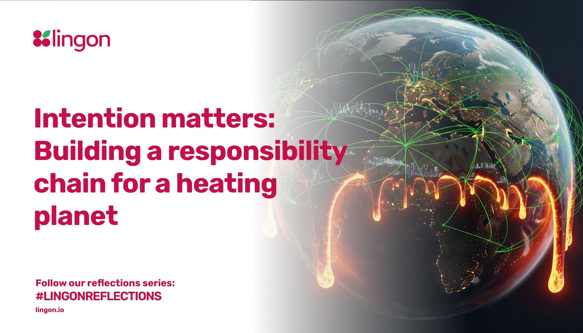 Building a Transparent Supply Chain: The Role of Digital Product Passports and Responsibility Chains