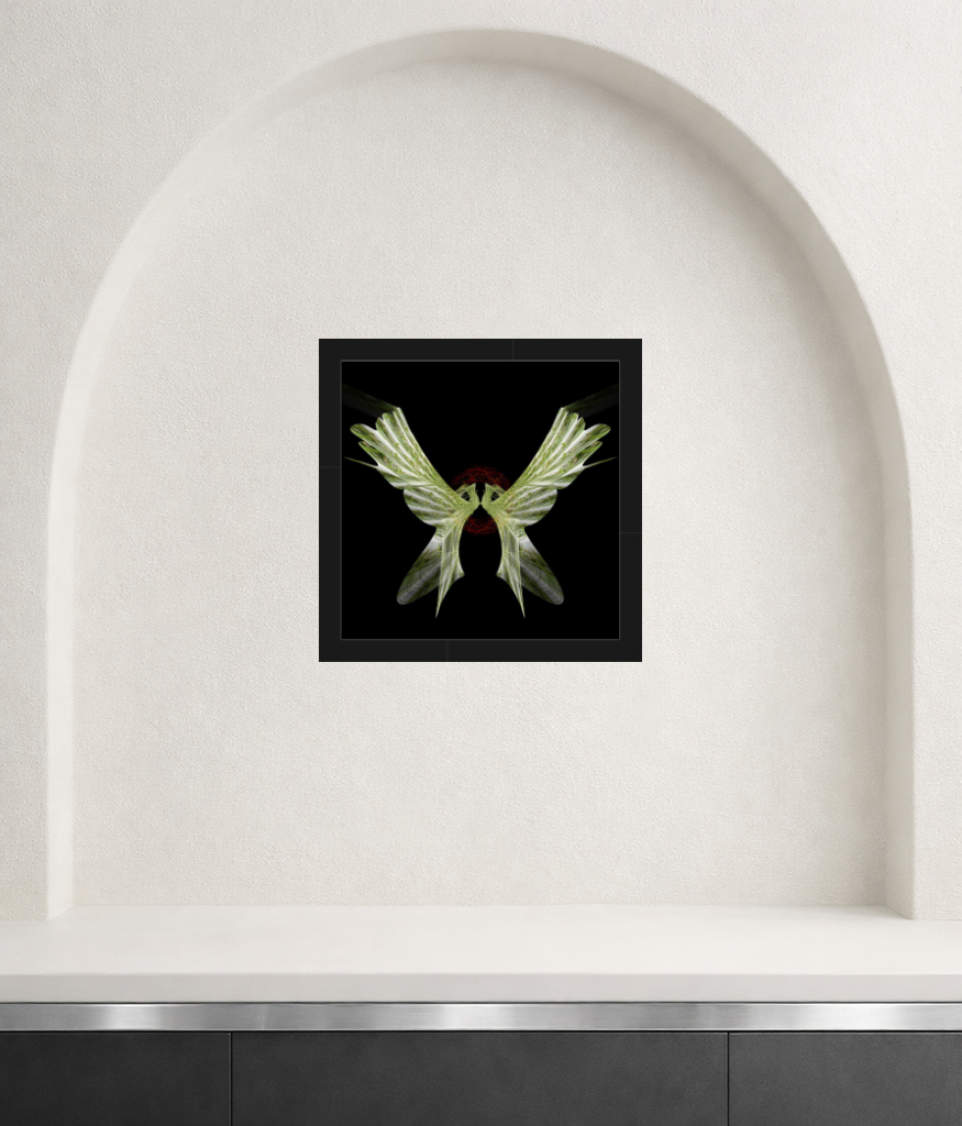 Shedwing framed in situ3.png