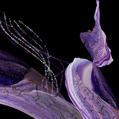 puple terra firma-provia 150 original-small for web-detail crop.png