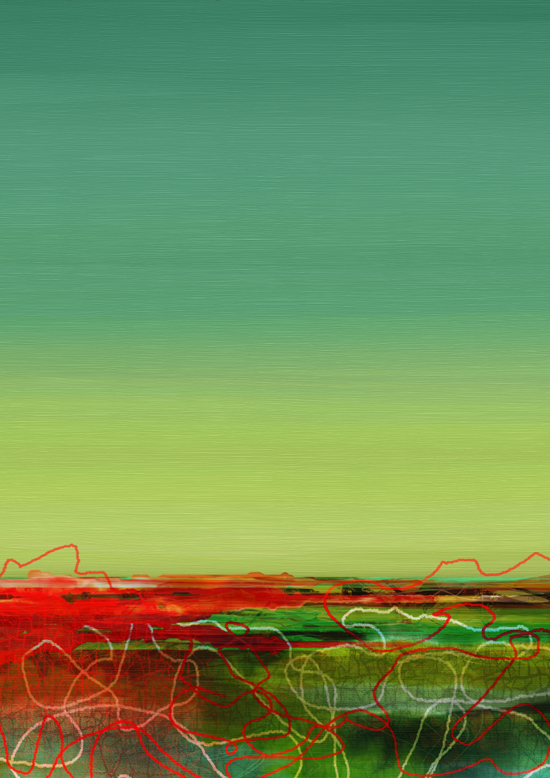 the surveyors trace sml for web.png