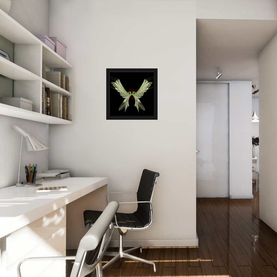 Shedwing framed in situ 2.png