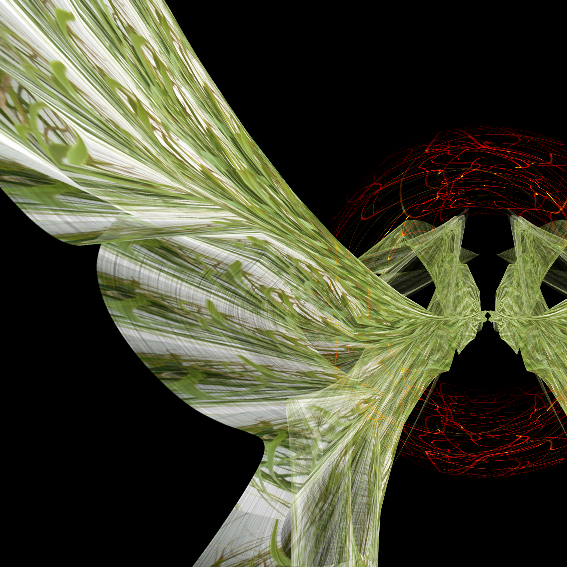 Kaitiaki Shedwing Abstract close up detail.png