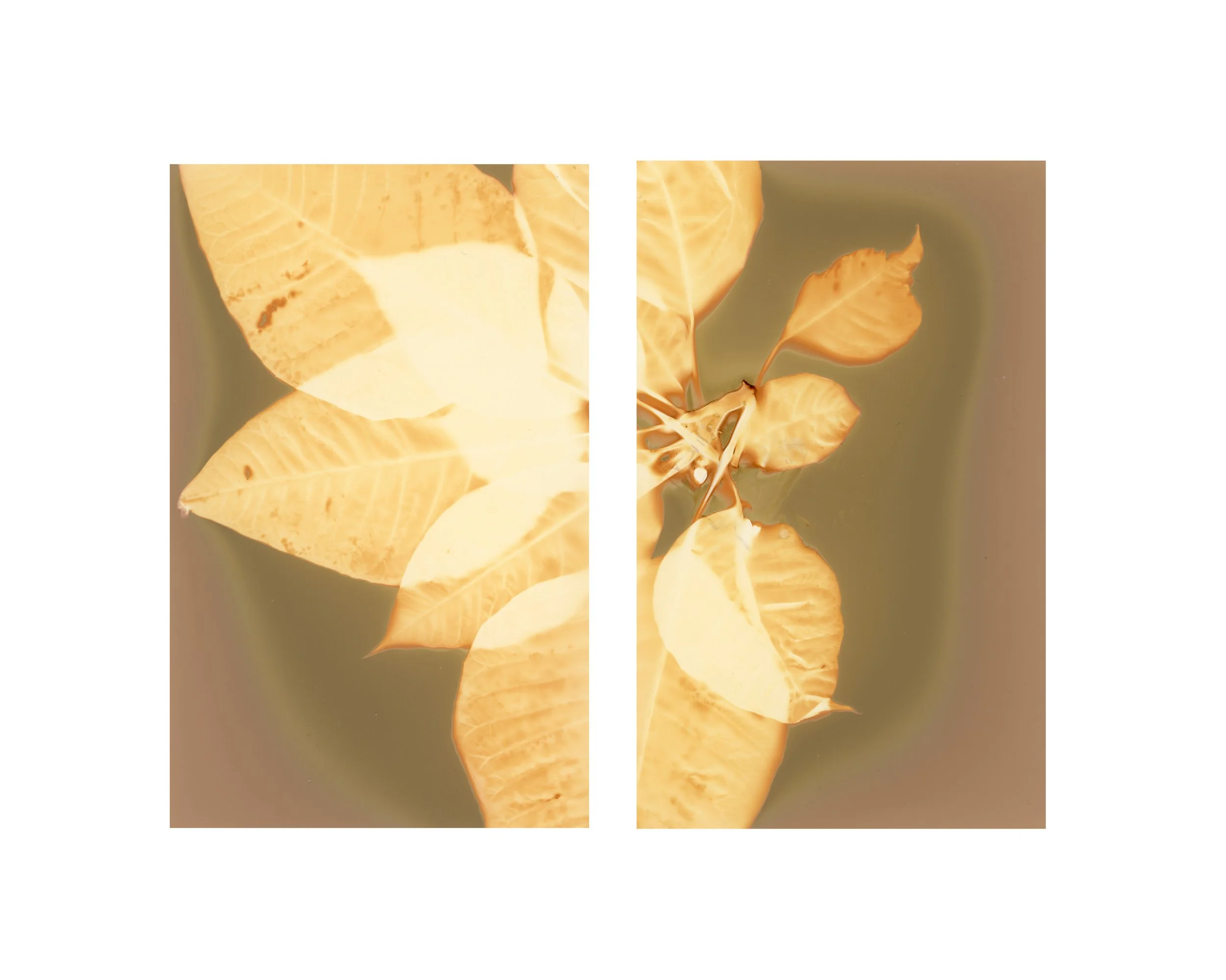 Two Suns