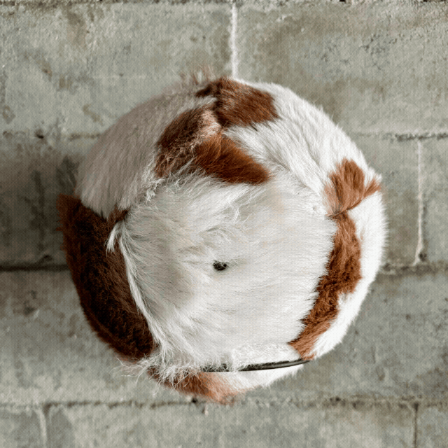 Fuzzball