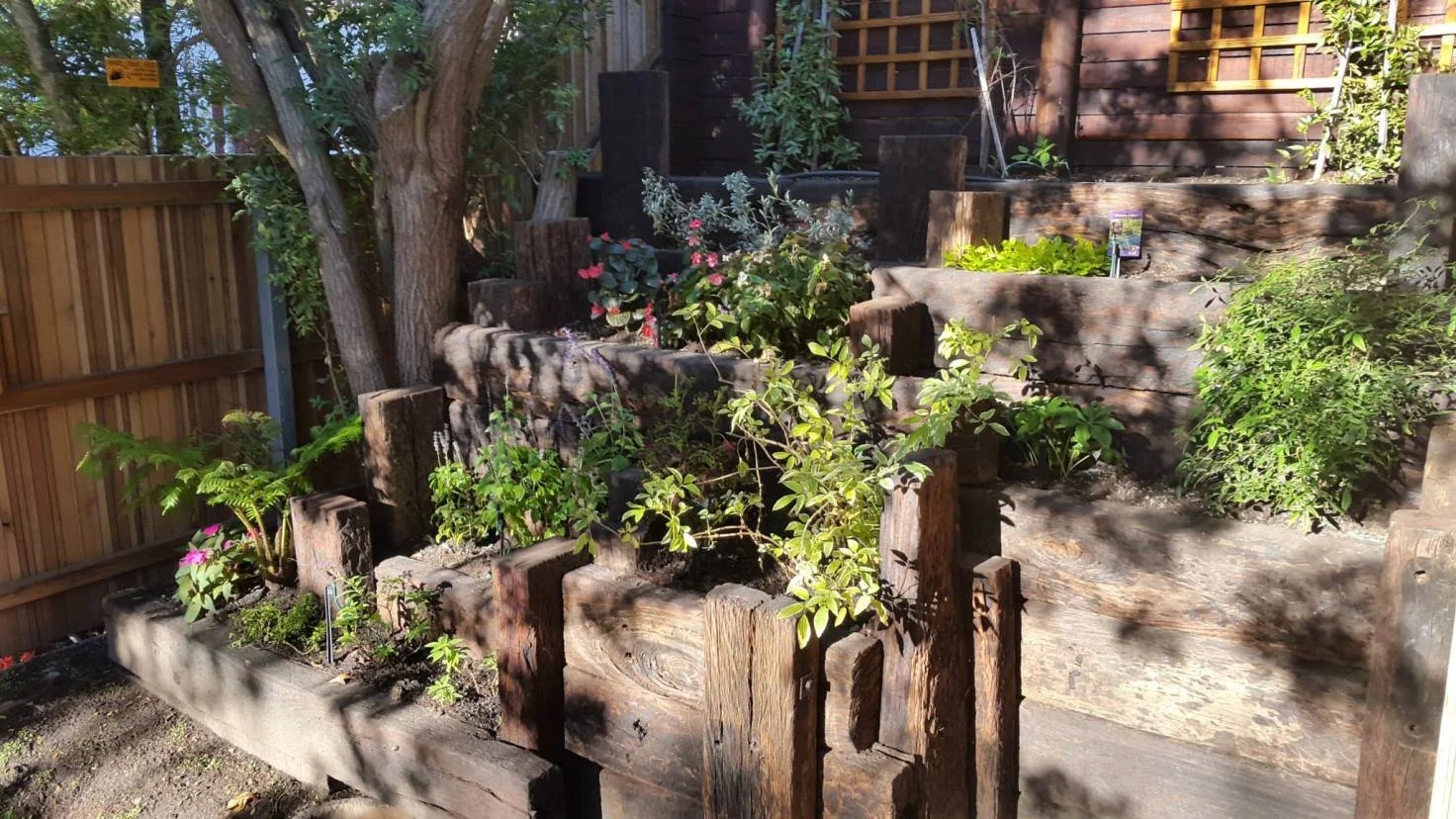 Solid railway sleepers arranged to form a terraced planter. Terraces of solid sleepers make for easy access to plants at the top.
