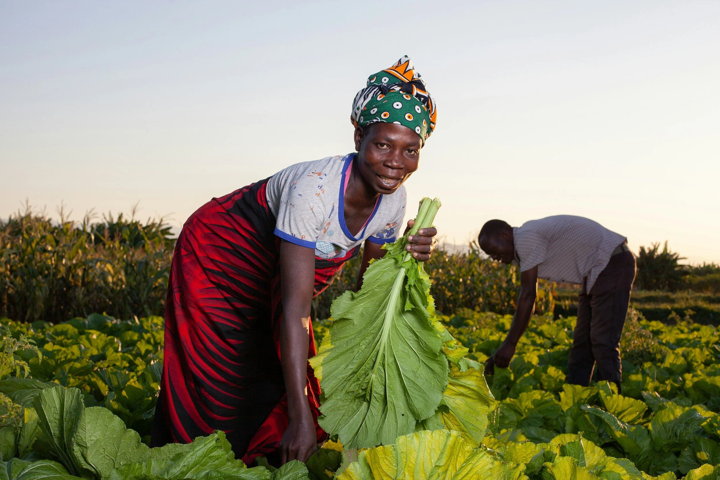 What a Farmer in Rural Kenya Knows About AI That Silicon Valley Doesn't