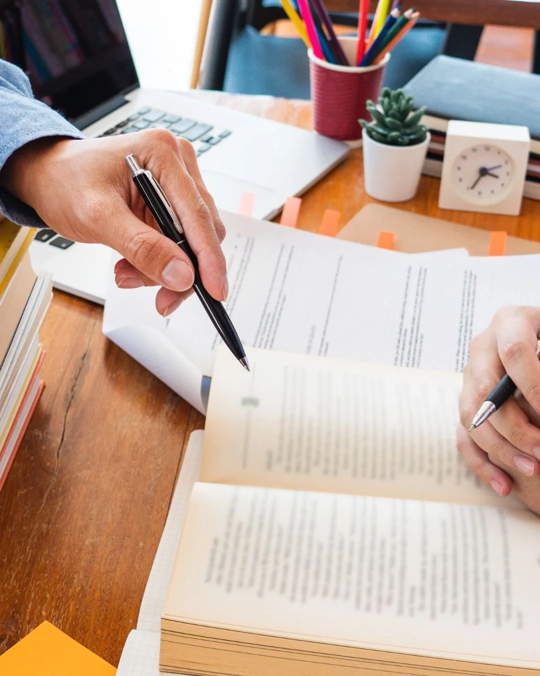 Monthly Support Plan (Up to 4 sessions/ Week)