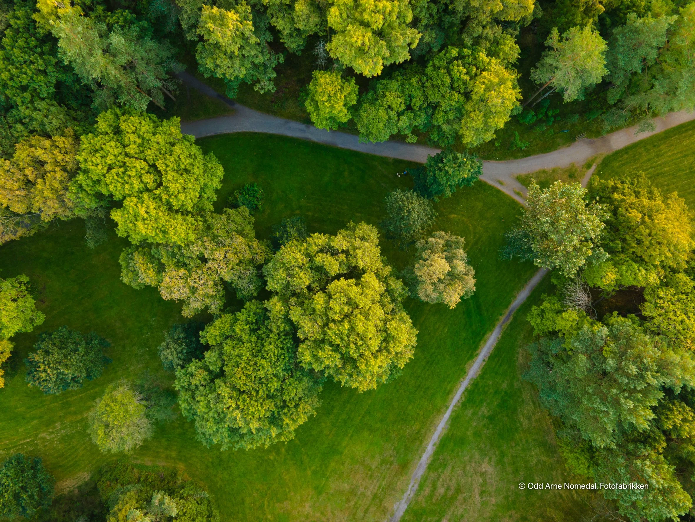 DJI_0792.jpg