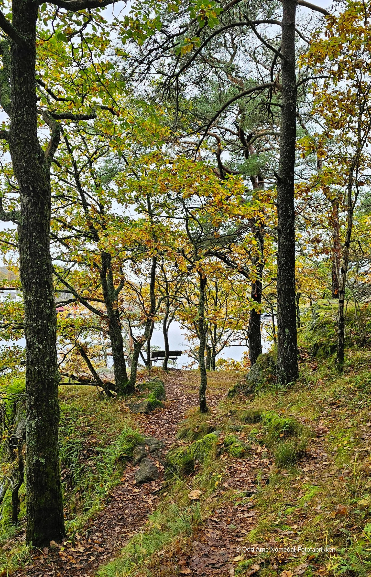 20241020_132440.jpg