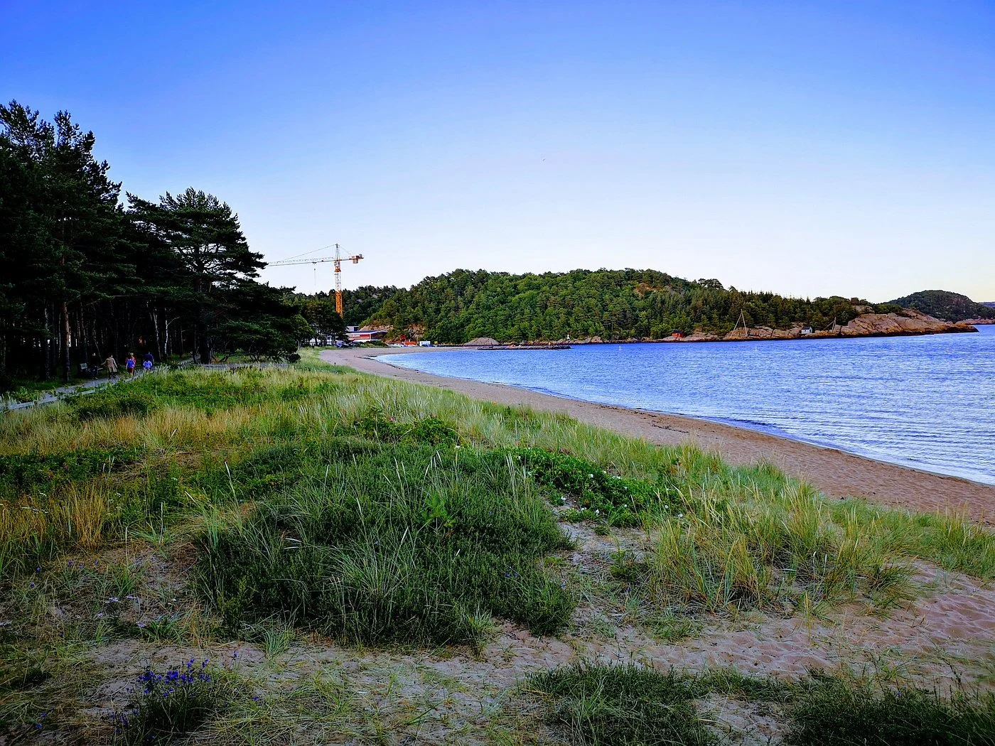sjøsanden med sandynemark.jpg