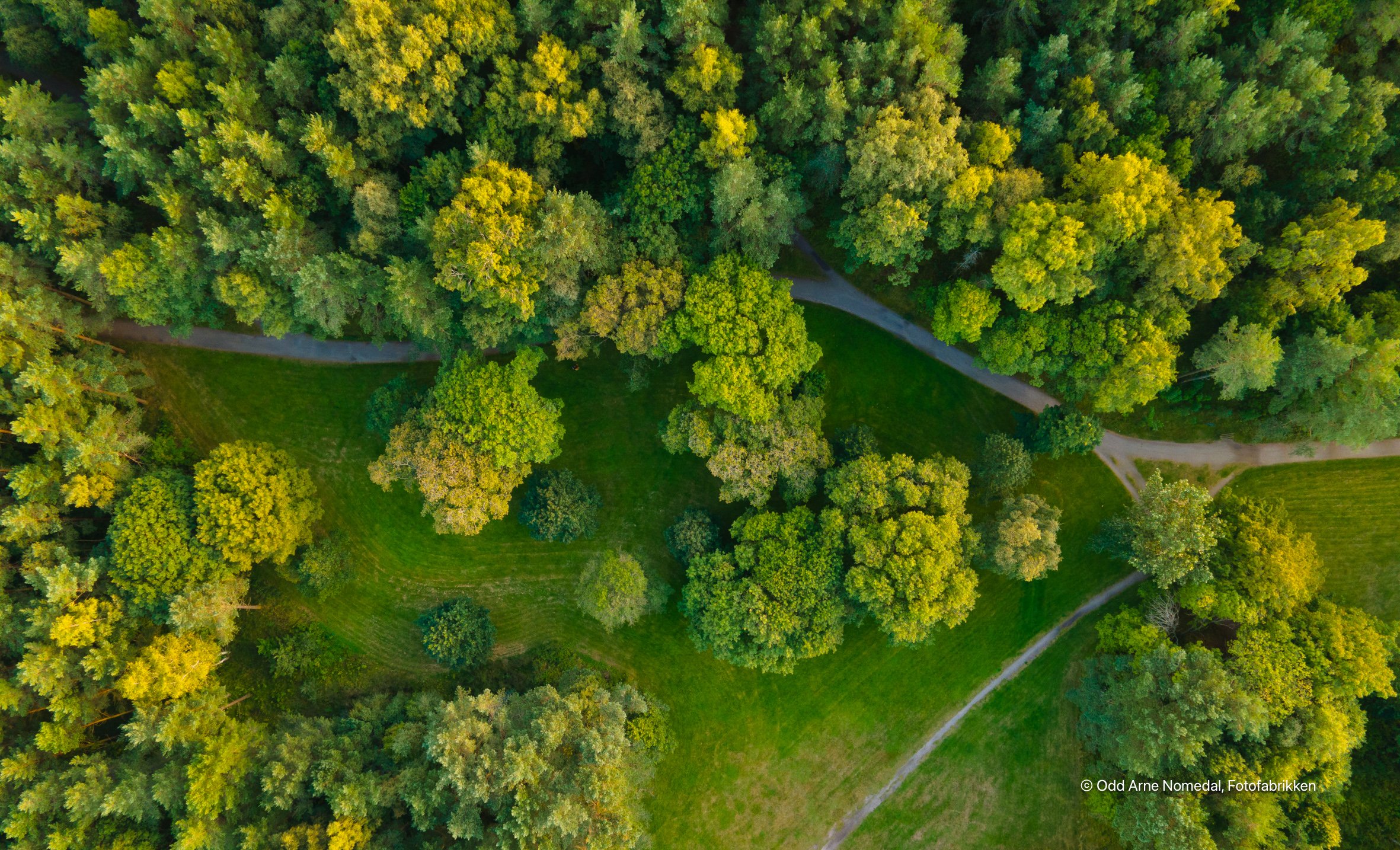 DJI_0795.jpg