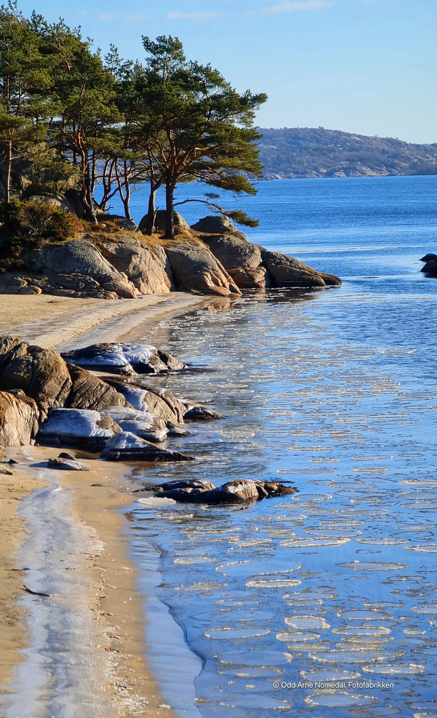 En rolig strand med store steiner og sand, omgitt av grønne trær og en rolig sjø med små isflak, med en fjellkjede i bakgrunnen under en klar blå himmel.