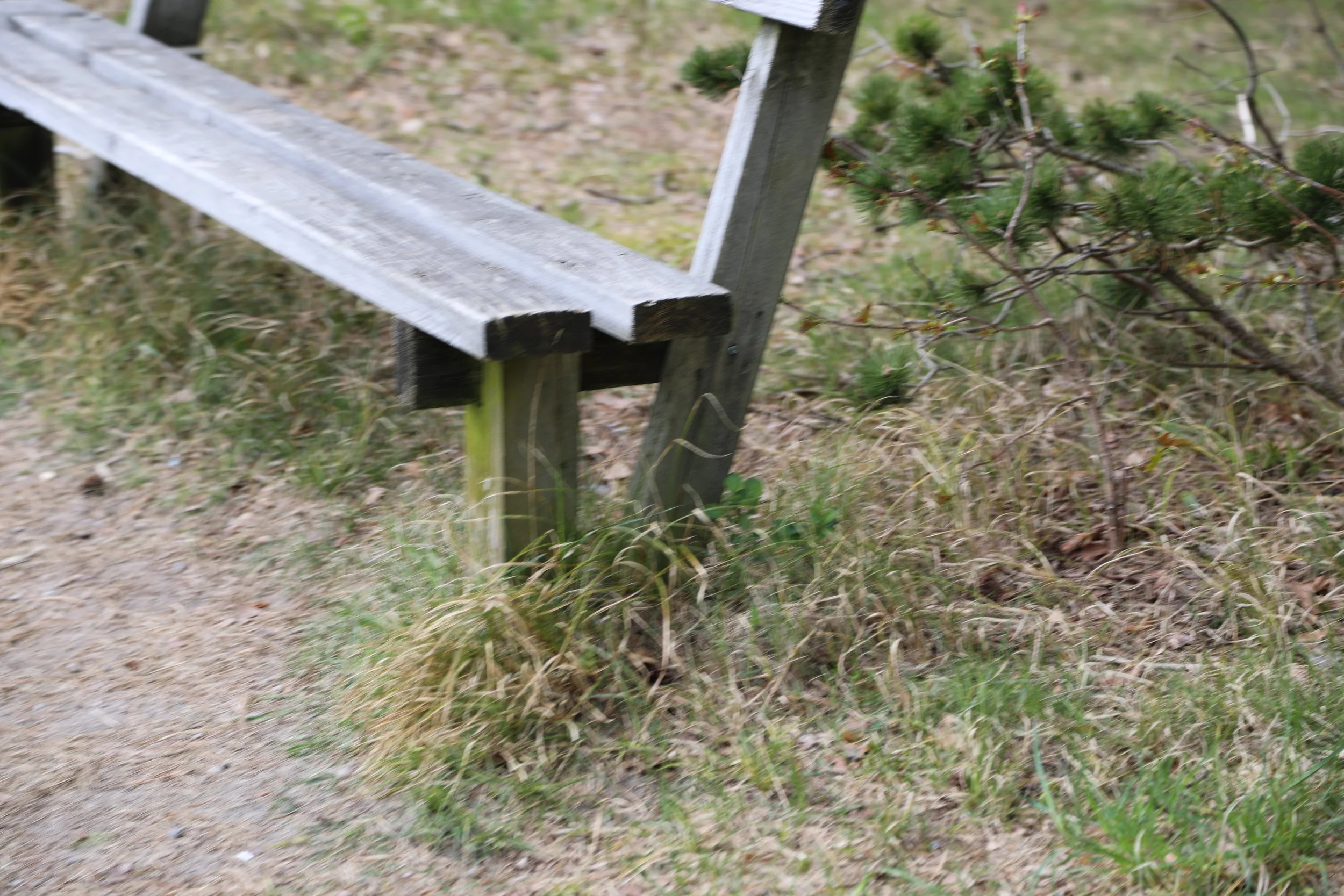 NW0A5142.JPG