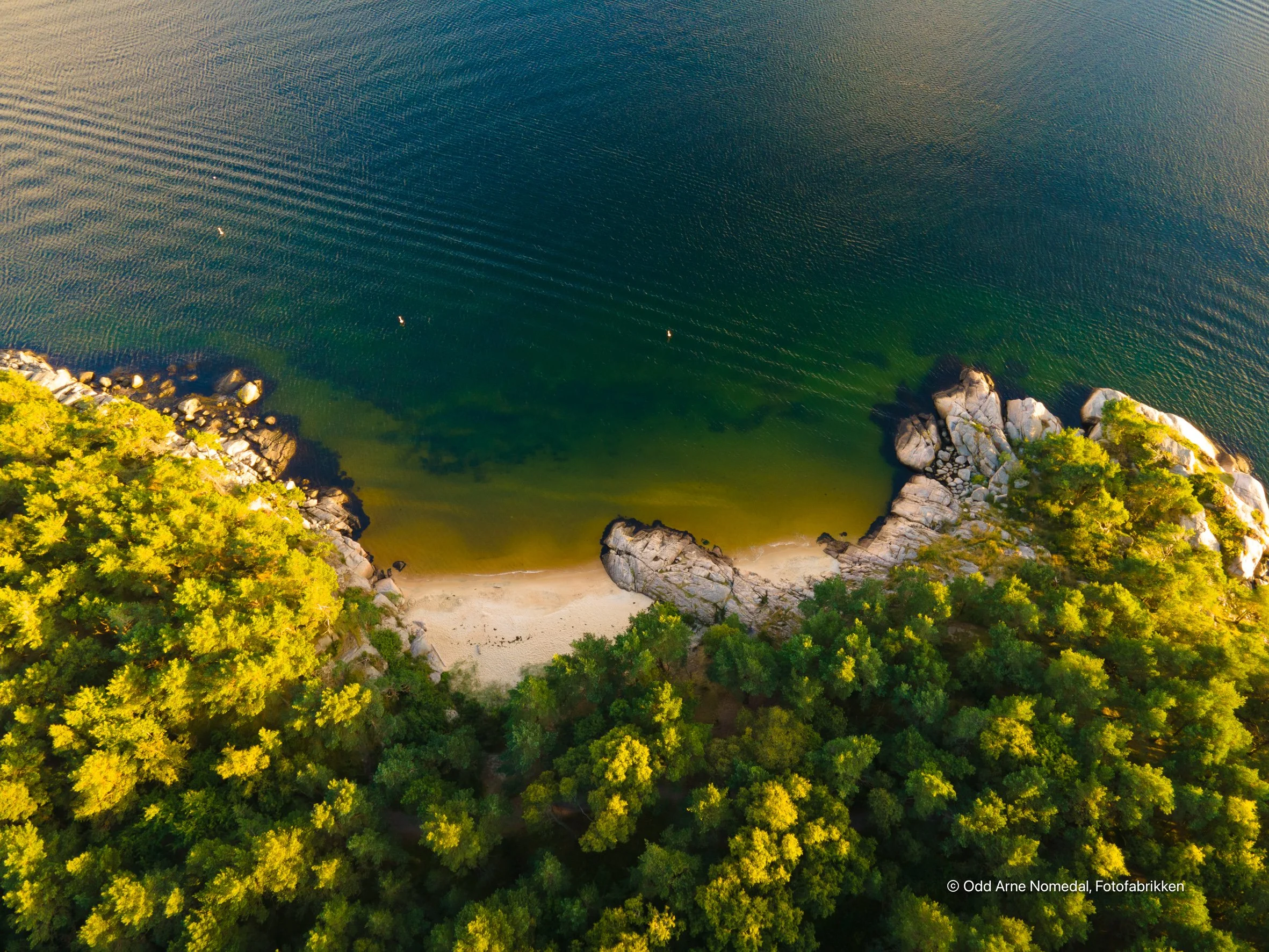 DJI_0800.jpg