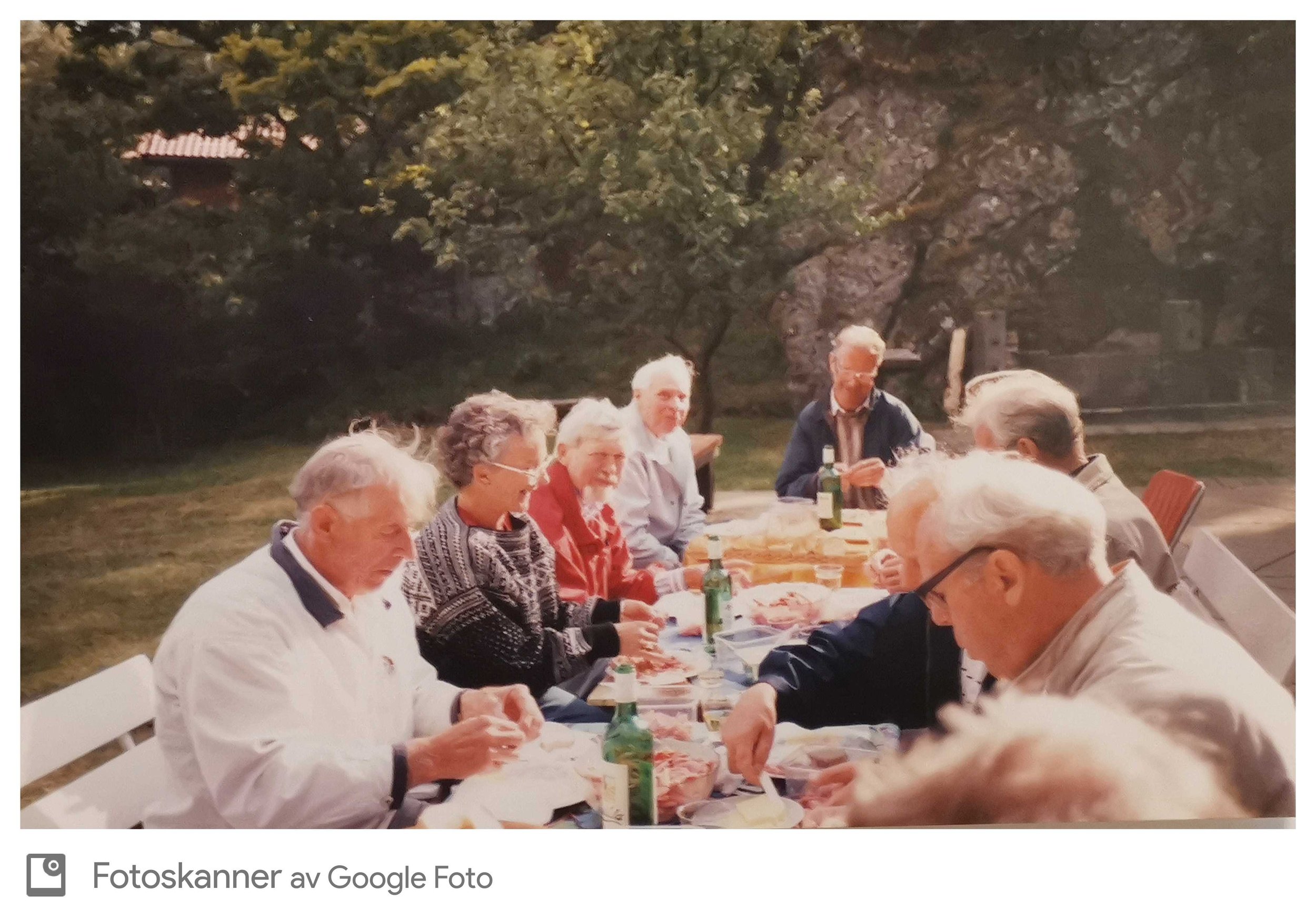 En gruppe eldre mennesker sitter rundt et langbord utendørs og spiser middag under trær på kvelden.