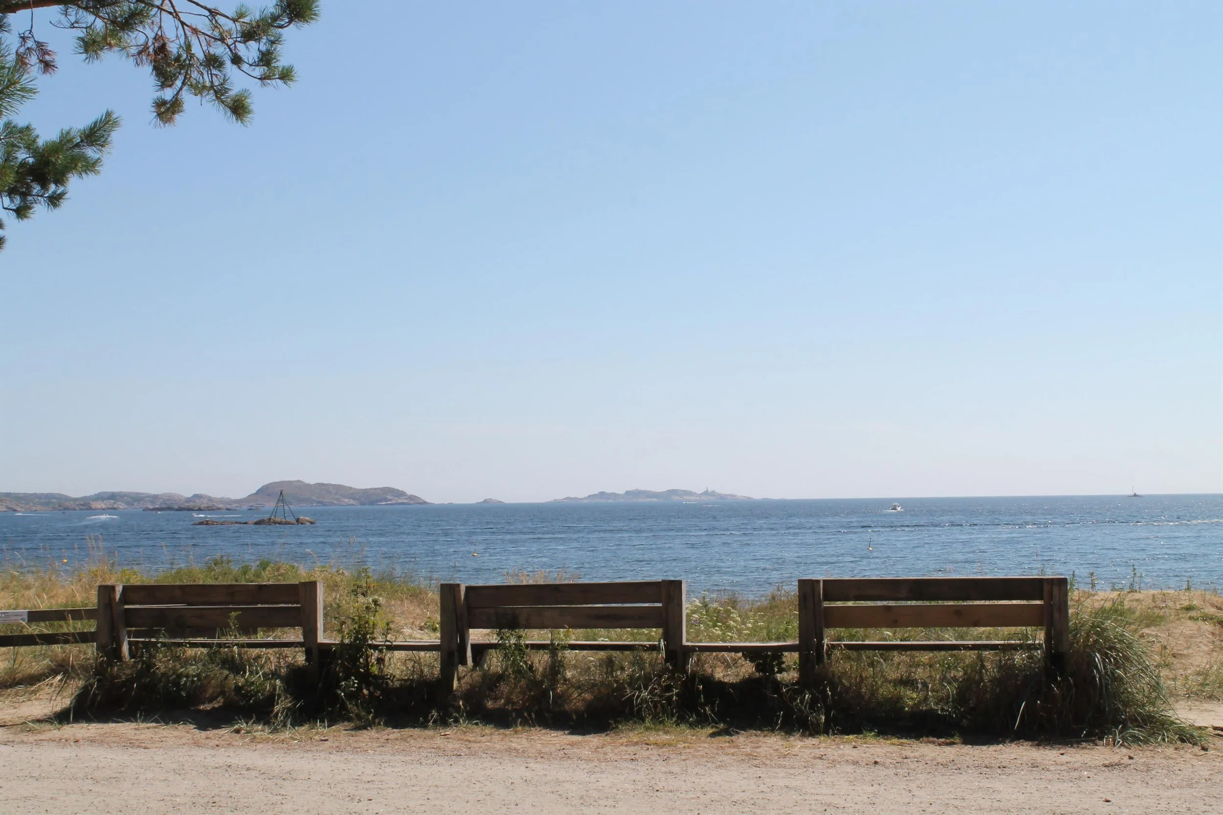 Utsikt over havet med øyer i bakgrunnen, trær og benker foran, på en solrik dag.
