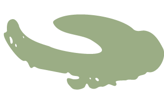 Silhouette of a crocodile or alligator in light green color.