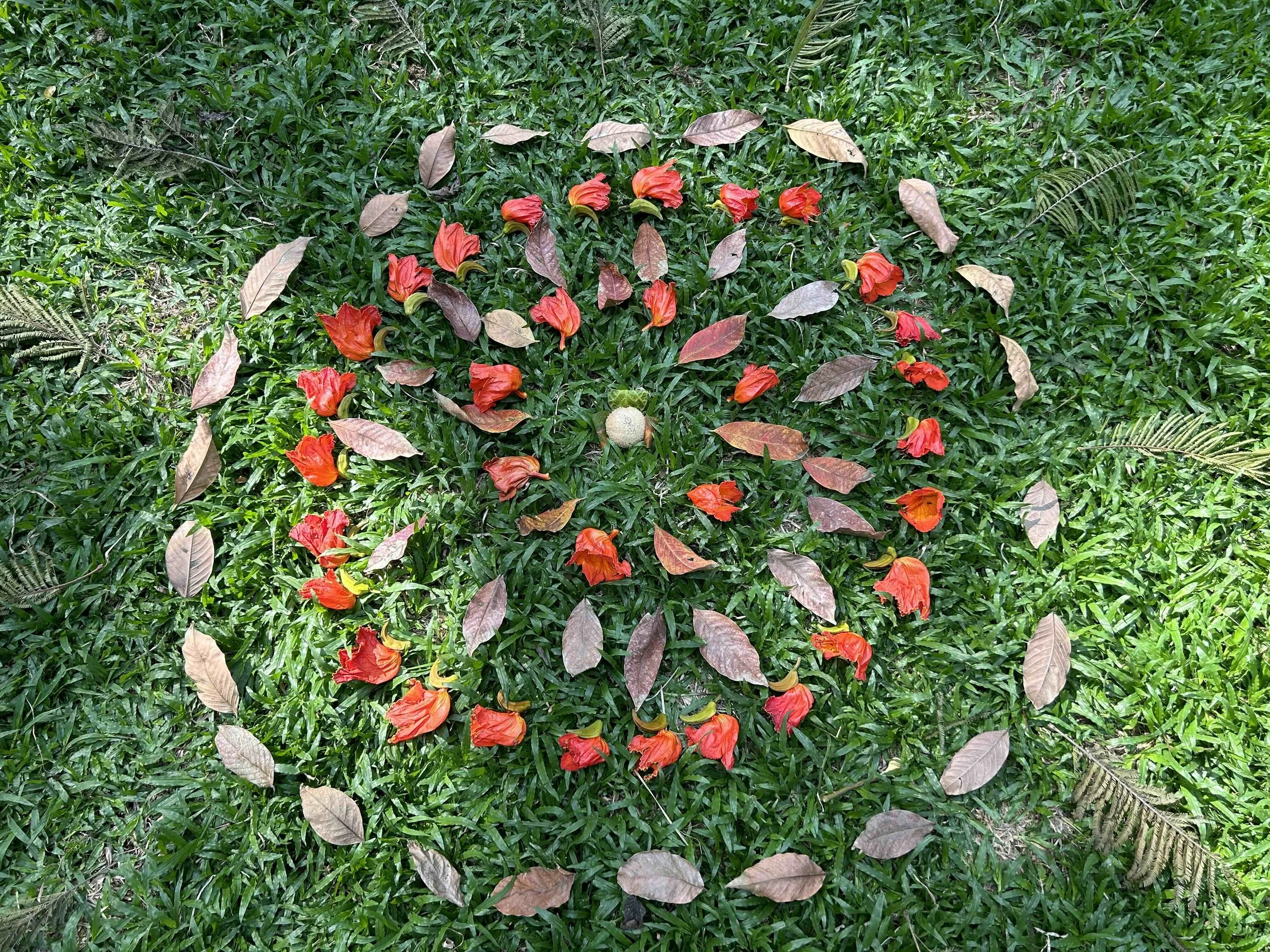 Nature mandala