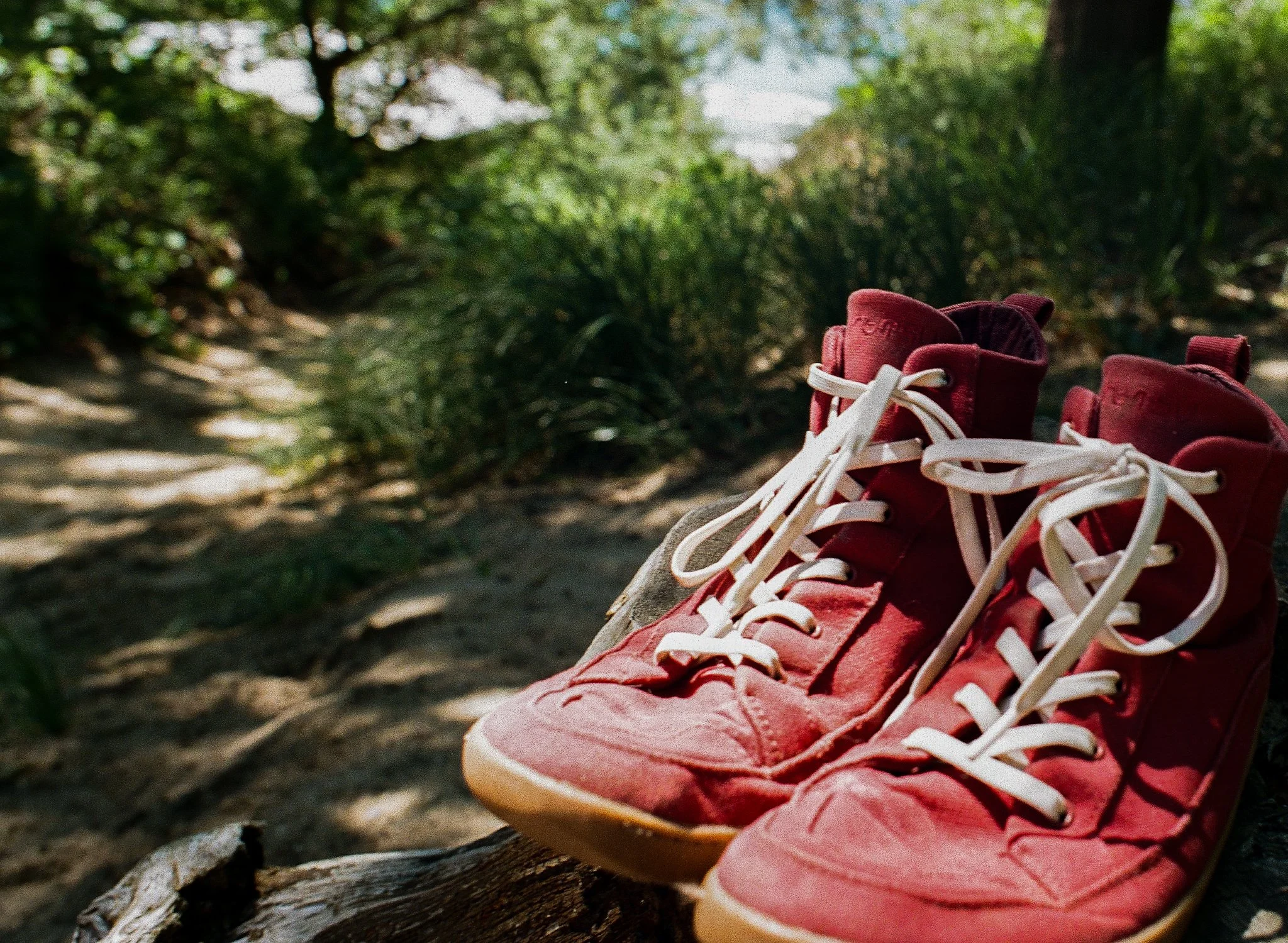 A pair of red and white sneakers placed on a small log along a dirt trail in a dense green forest with trees and bushes.