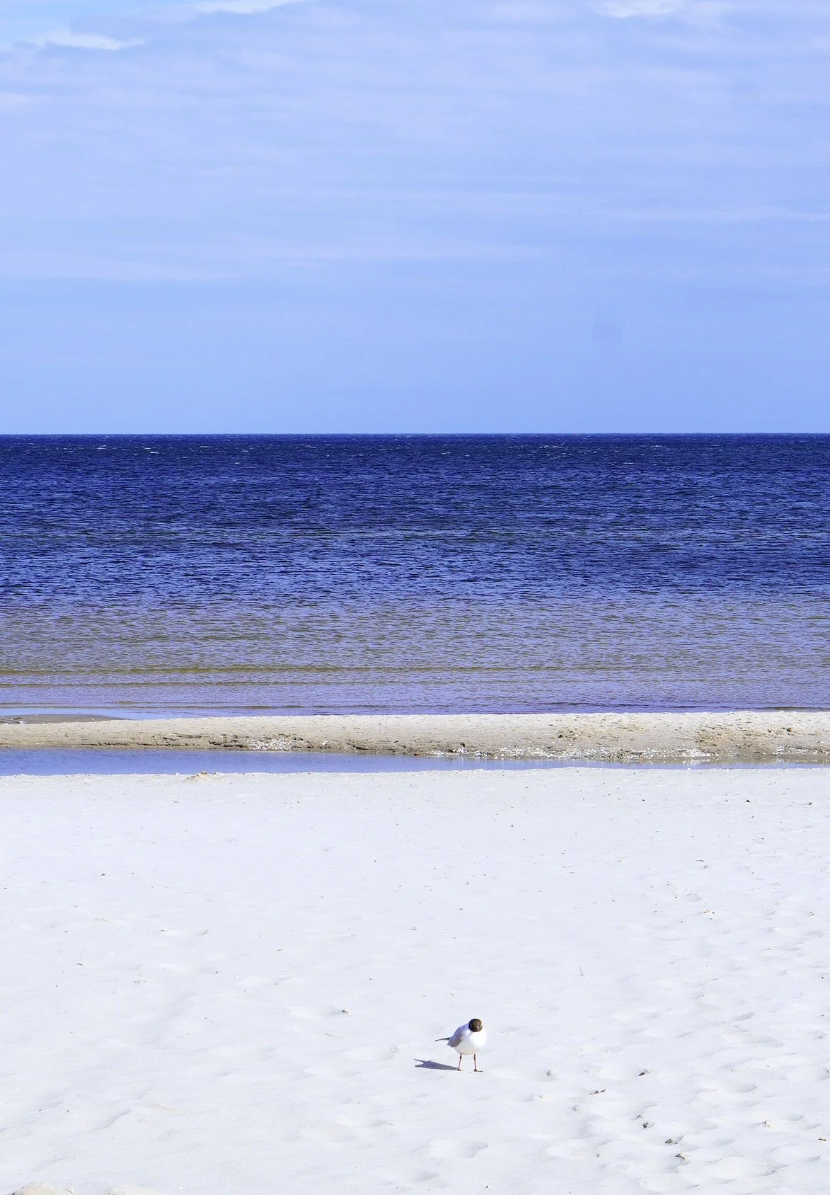 Workbook: Grenzen setzen, ohne dich zu verlieren