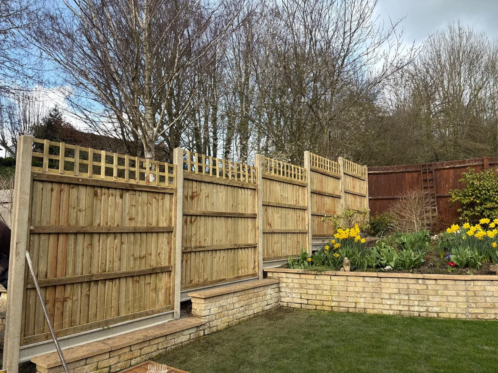 WhatsApp Image 2026-03-17 at 07.51.56.jpeg