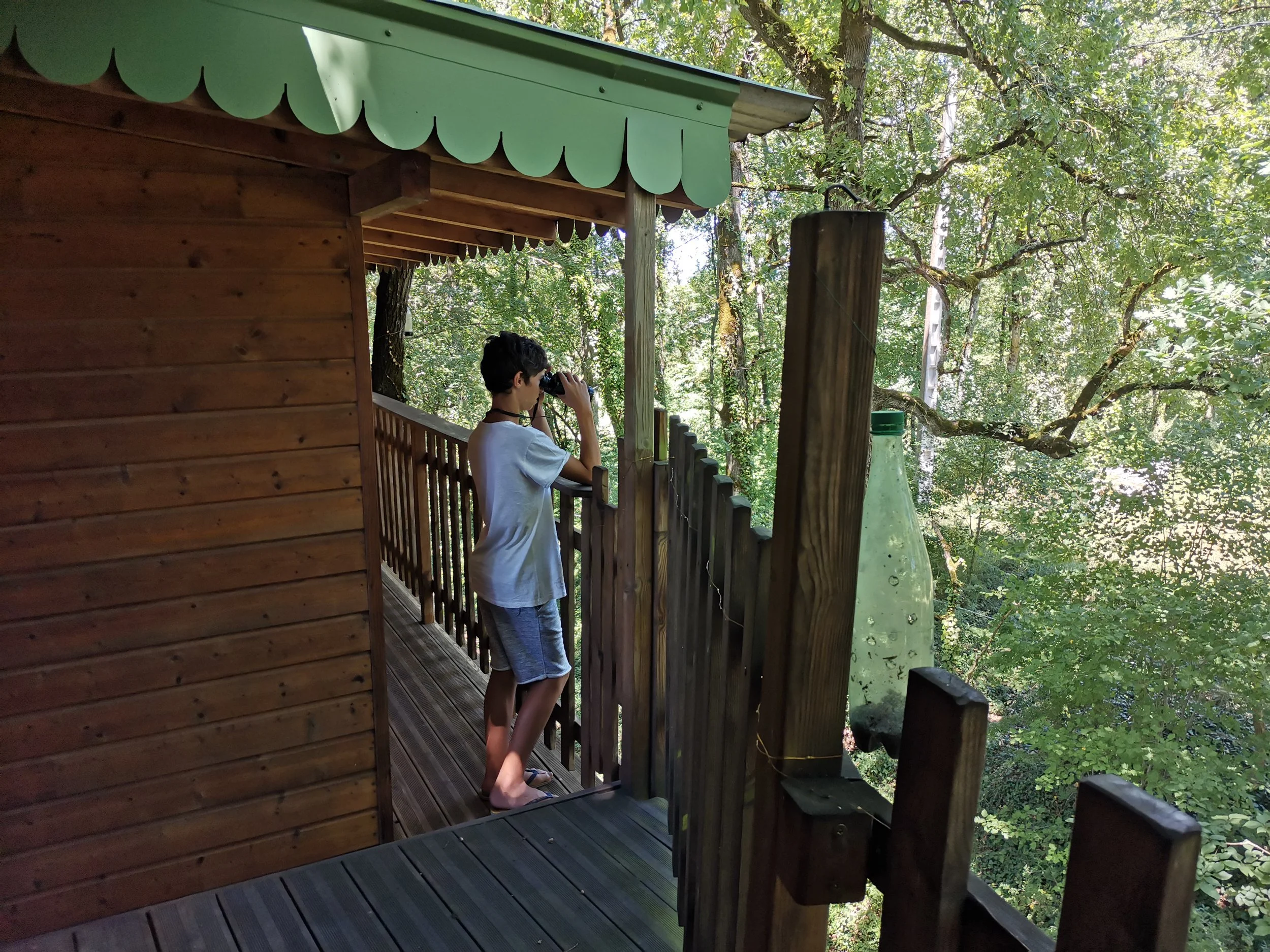 totievadrouille, vacances en famille, cabane dans les arbres, nature
