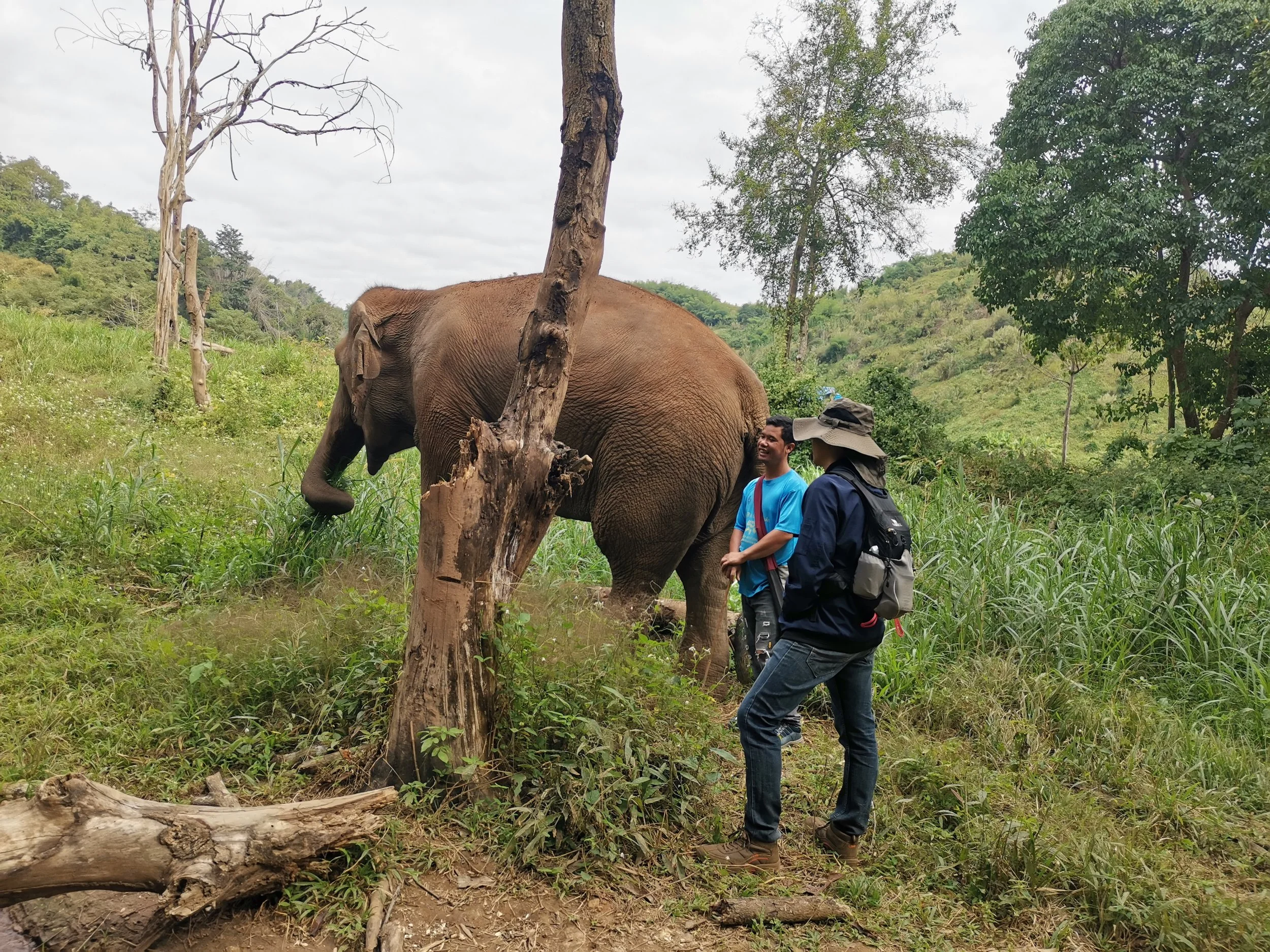 Asie. Thailande. Hors des sentiers battus. Elephants. Ethique. Reconnexion.Authenticité..jpg