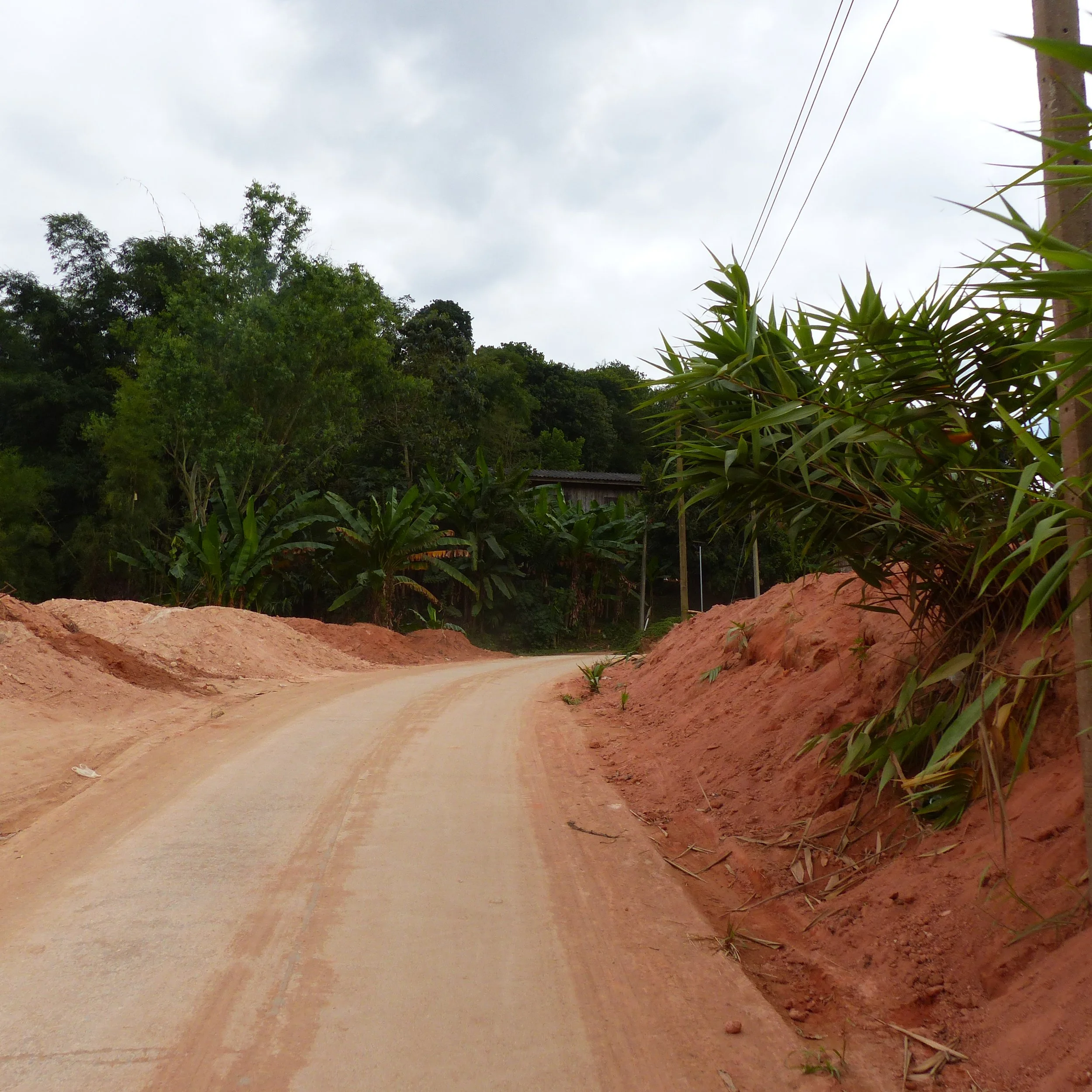 P1110353.JPG