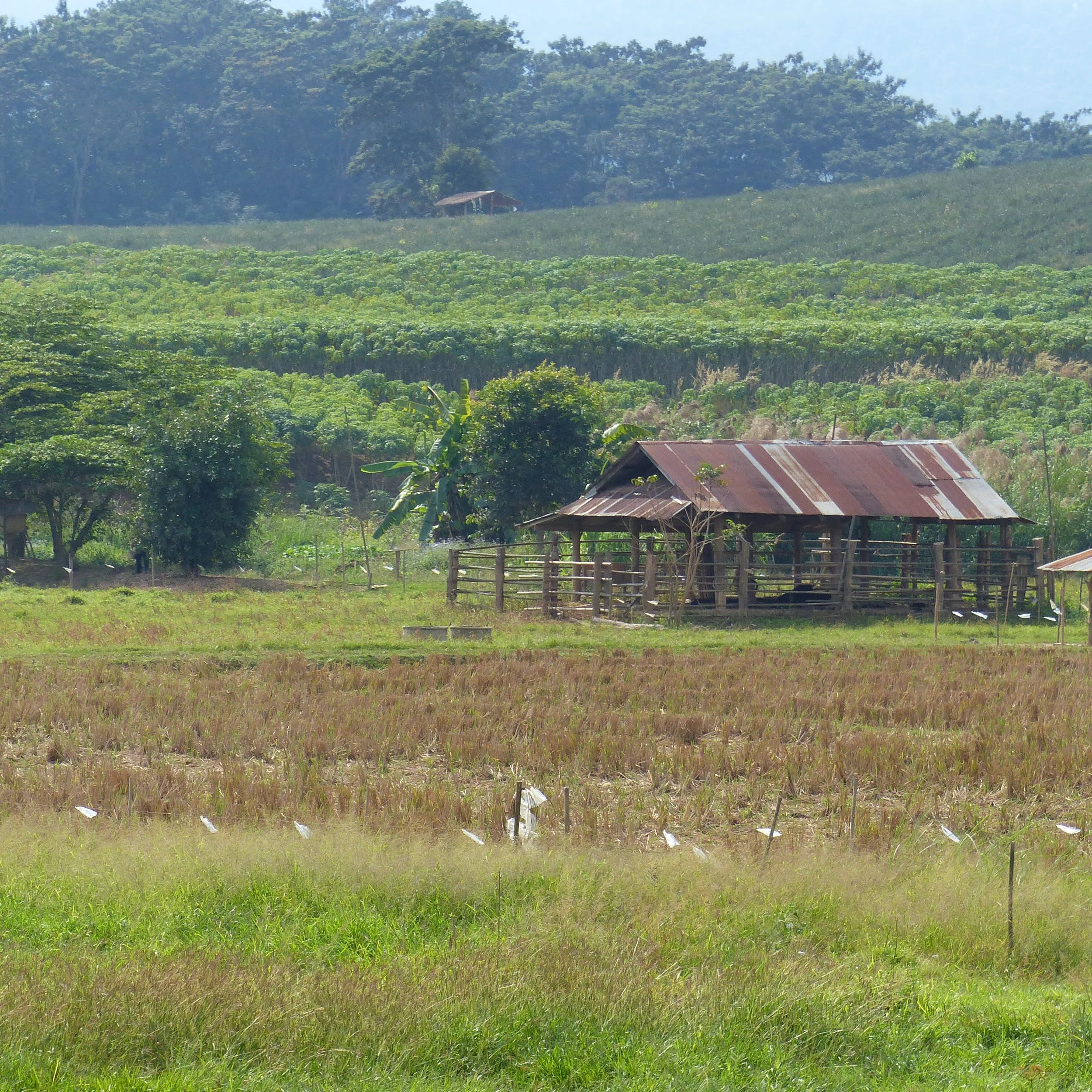 P1110752.JPG