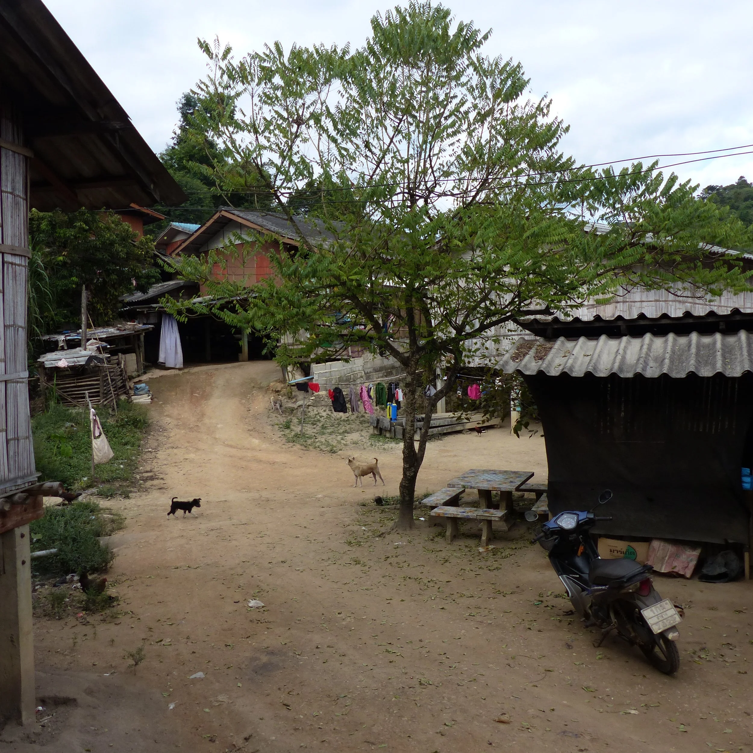 P1110372.JPG