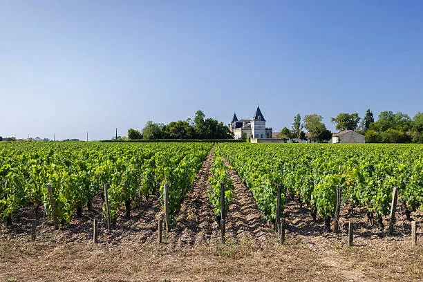 Chateau Beychevelle