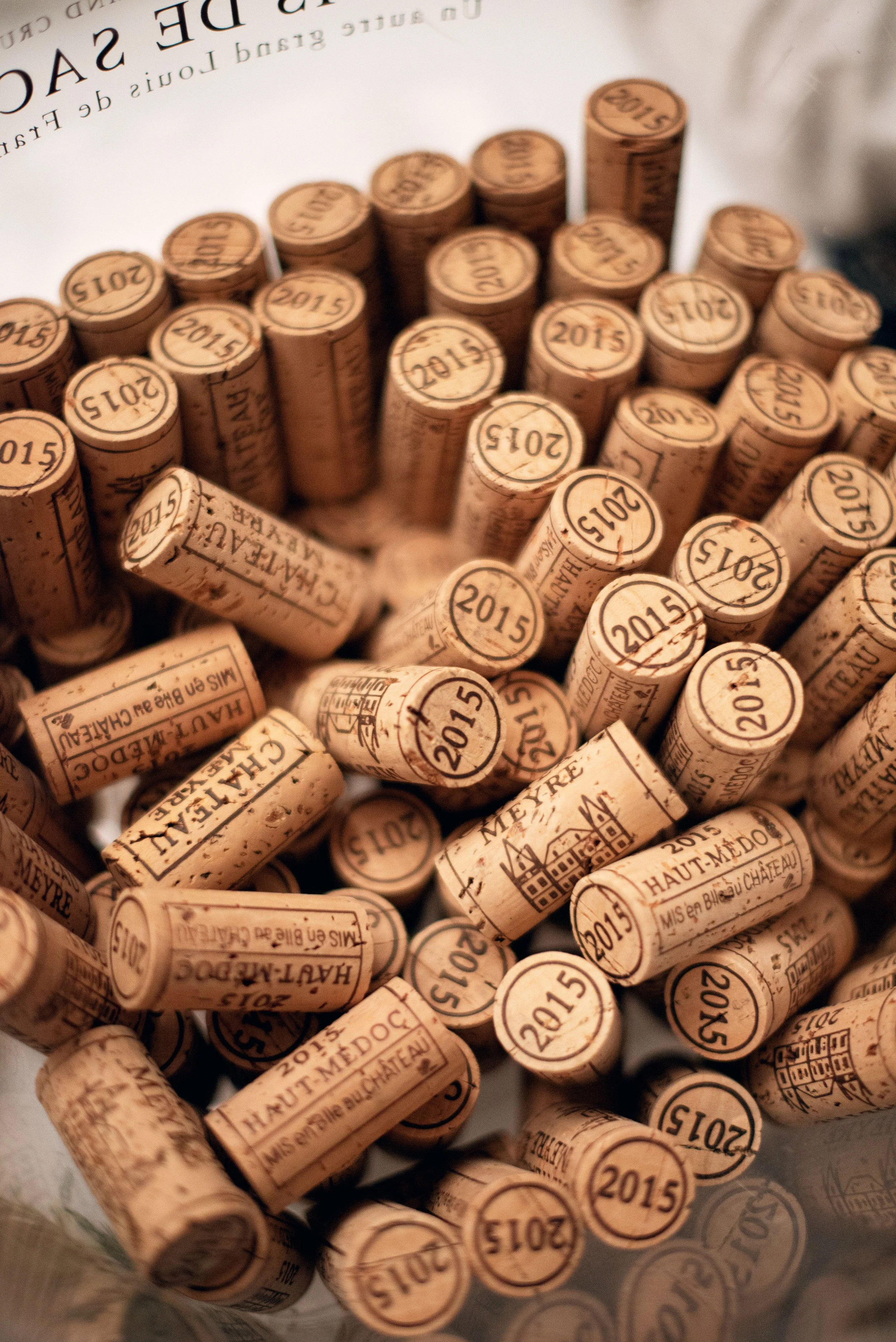médoc route des vins.jpg