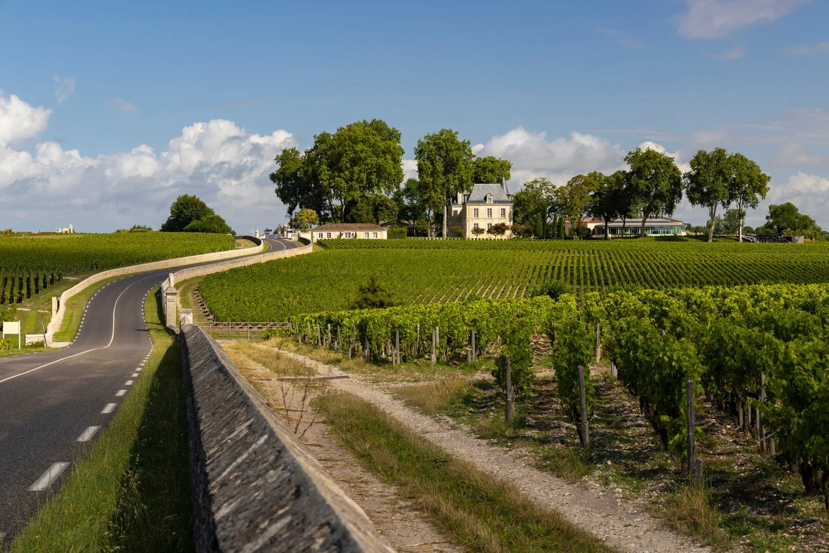 Rouler sur la route des vins