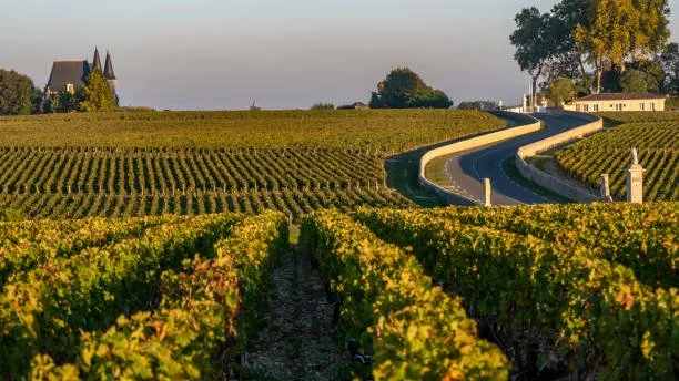 Route des vins