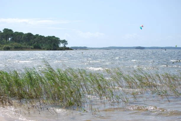 Le lac de Lacanau