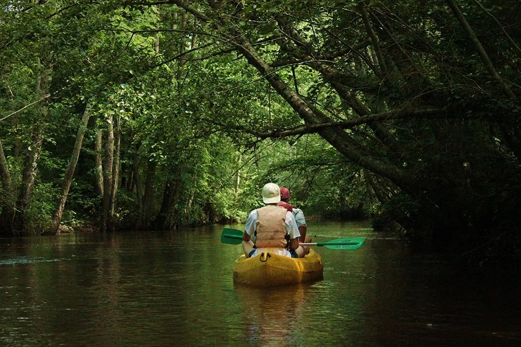 canoe-kayak-bommes-03.jpg