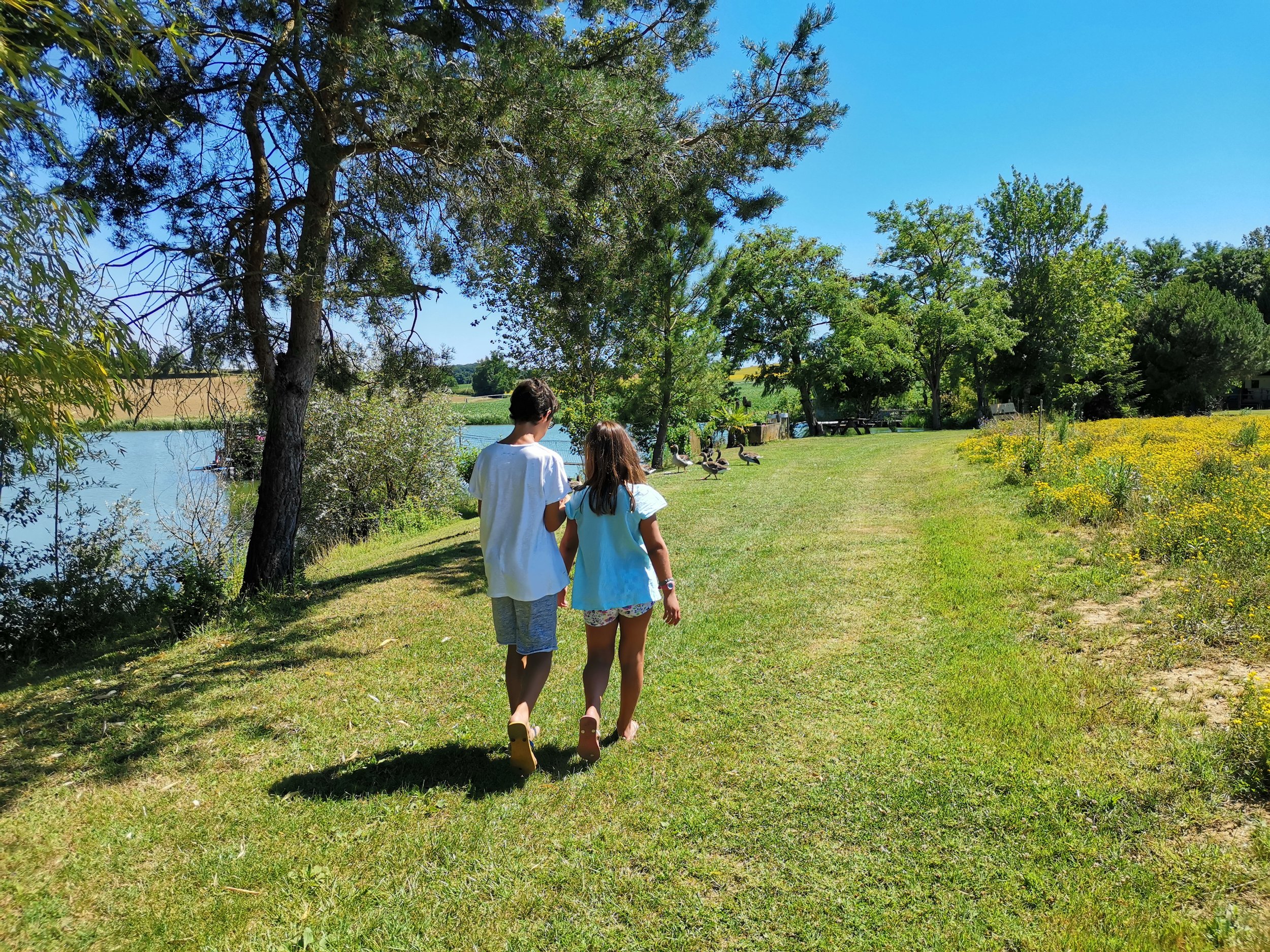 Nature, lac, campagne, soleil