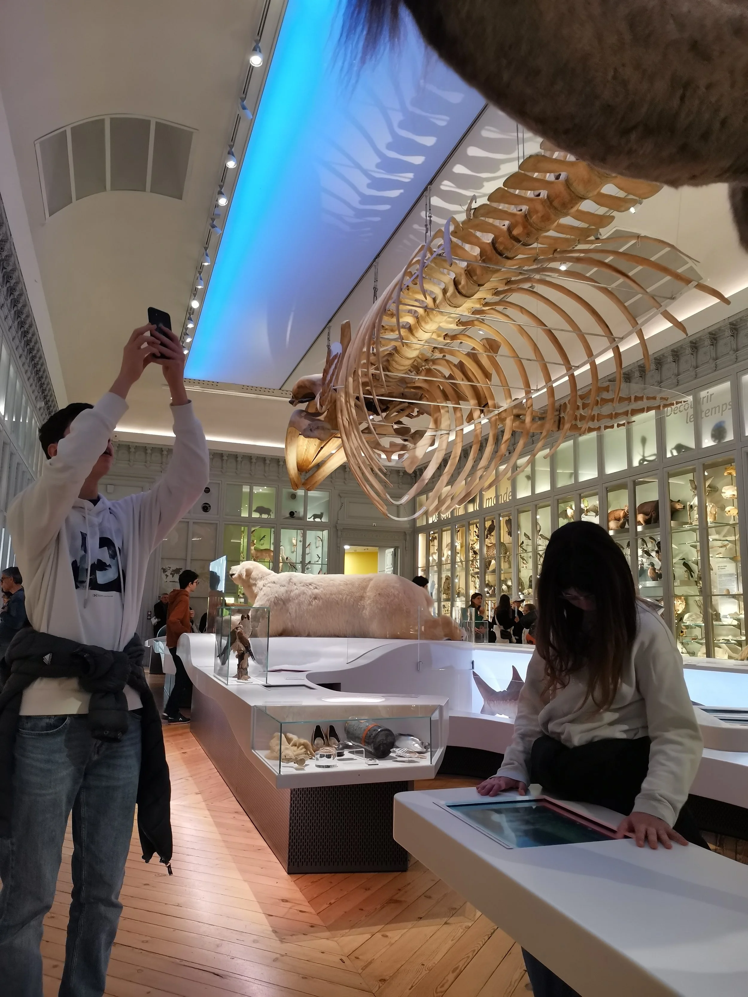 Une salle d'exposition de musée avec un squelette de baleine suspendu au plafond, plusieurs personnes observent et prennent des photos des expositions, avec des vitrines contenant des animaux et des fossiles en arrière-plan.