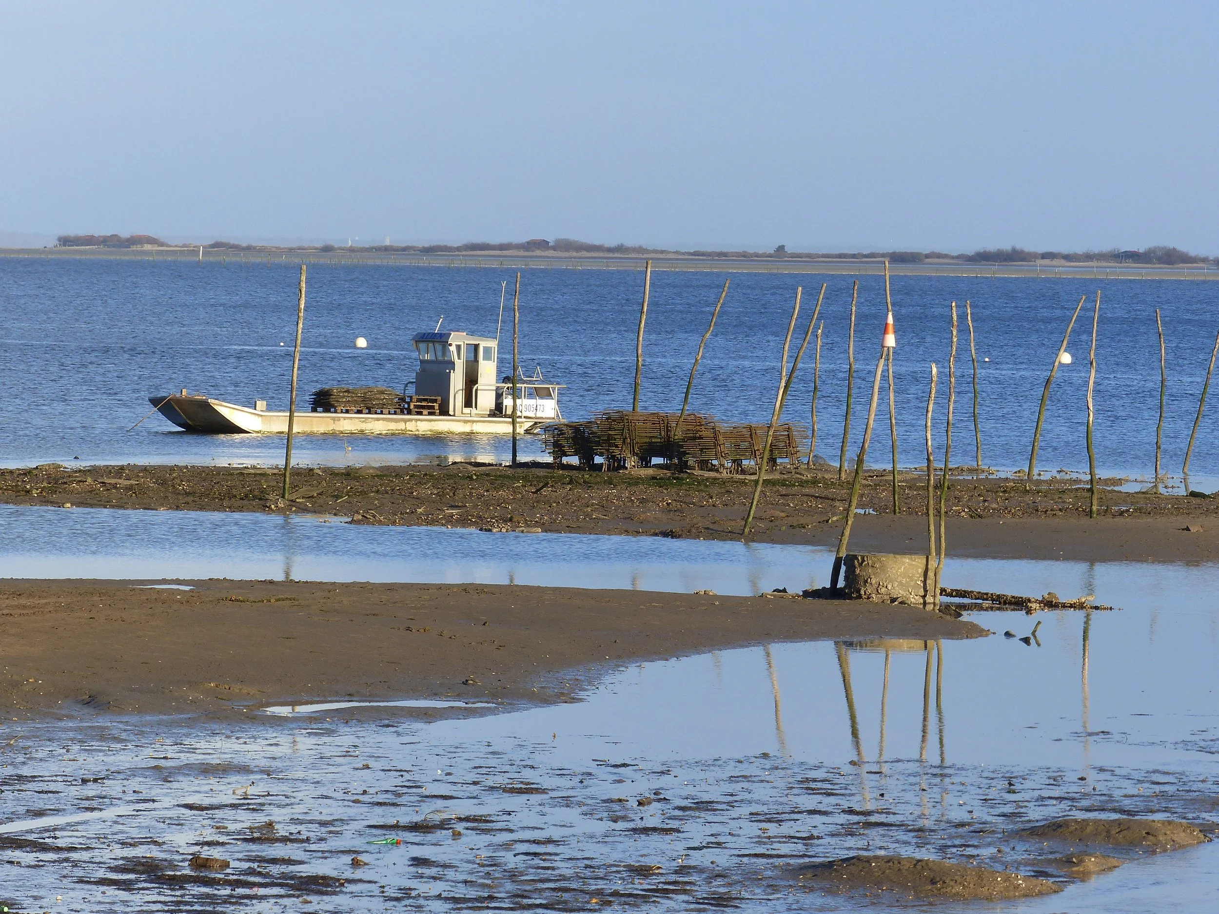 Un bateau jaune flottant sur une étendue d'eau calme avec des piquets en bois, un fond de ciel clair et des terres en arrière-plan.