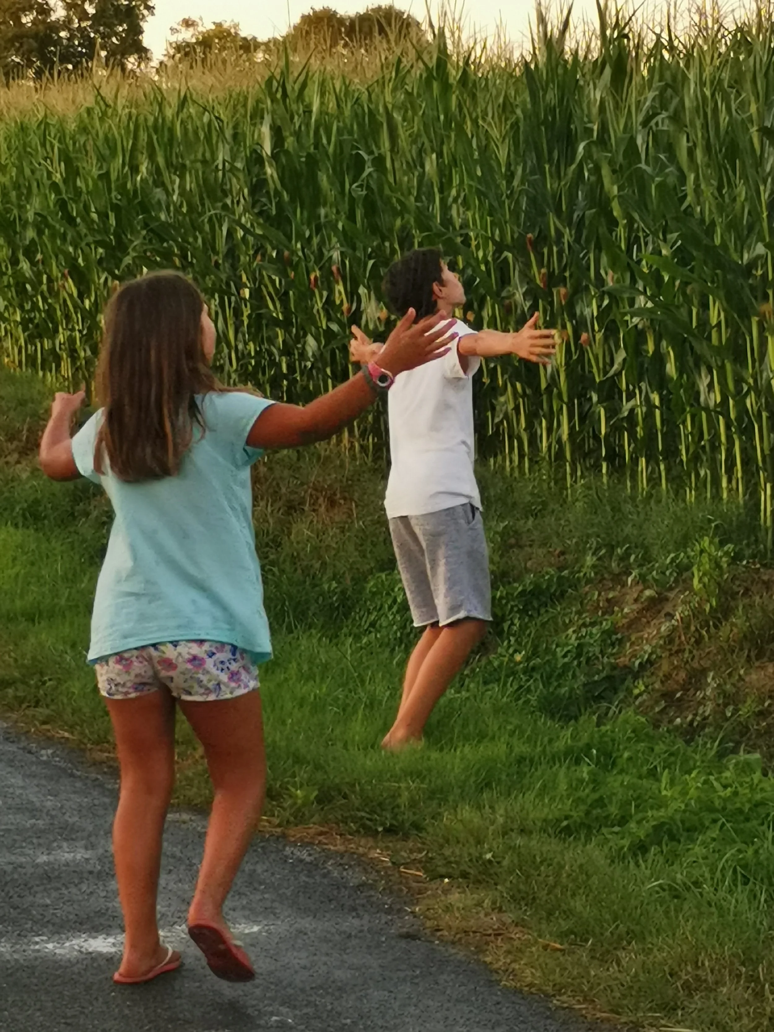 Deux enfants jouent dans un champ de maïs en fin de journée, avec des bras tendus.