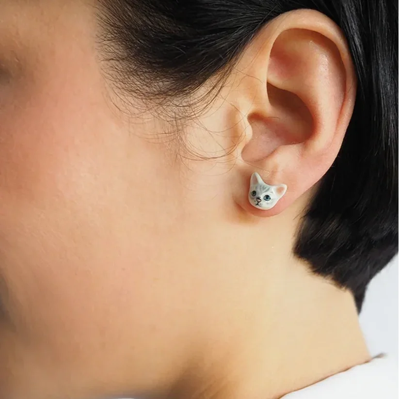 puces-d-oreilles-chat-tabby_fc264b0c-4231-4677-942a-c9d9bfe4aac4.webp