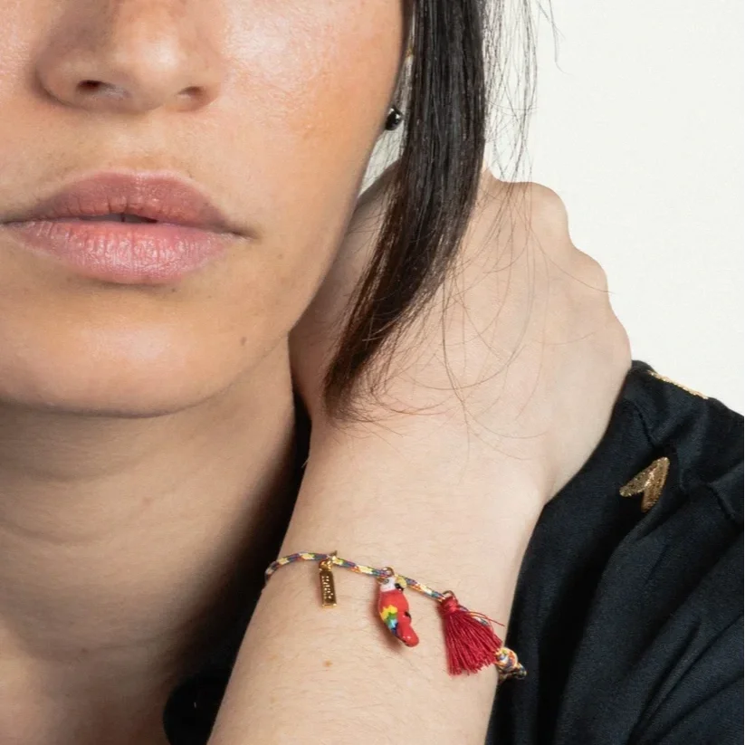 bracelet-charm-s-multicolore-perroquet-rouge-avec-pompon_ff89ded2-40ed-47ed-b064-655d068e3fb1.webp