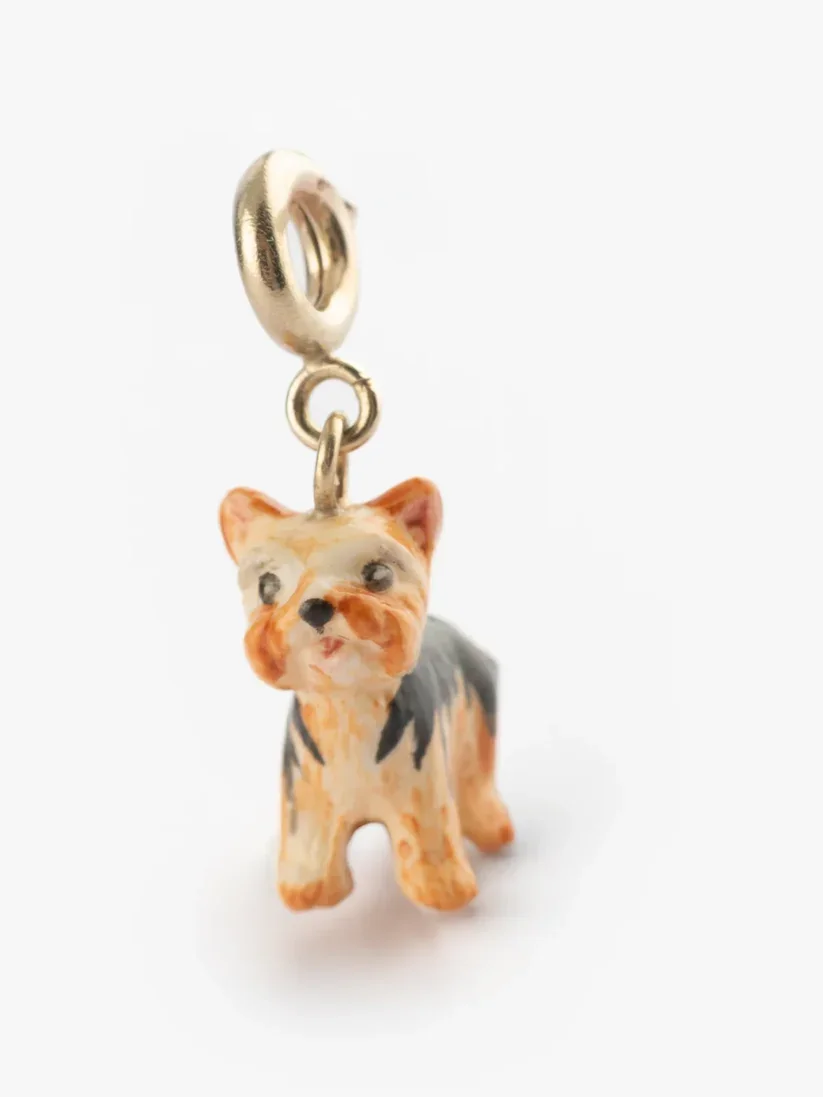 Nach Yorkshire Terrier Charm