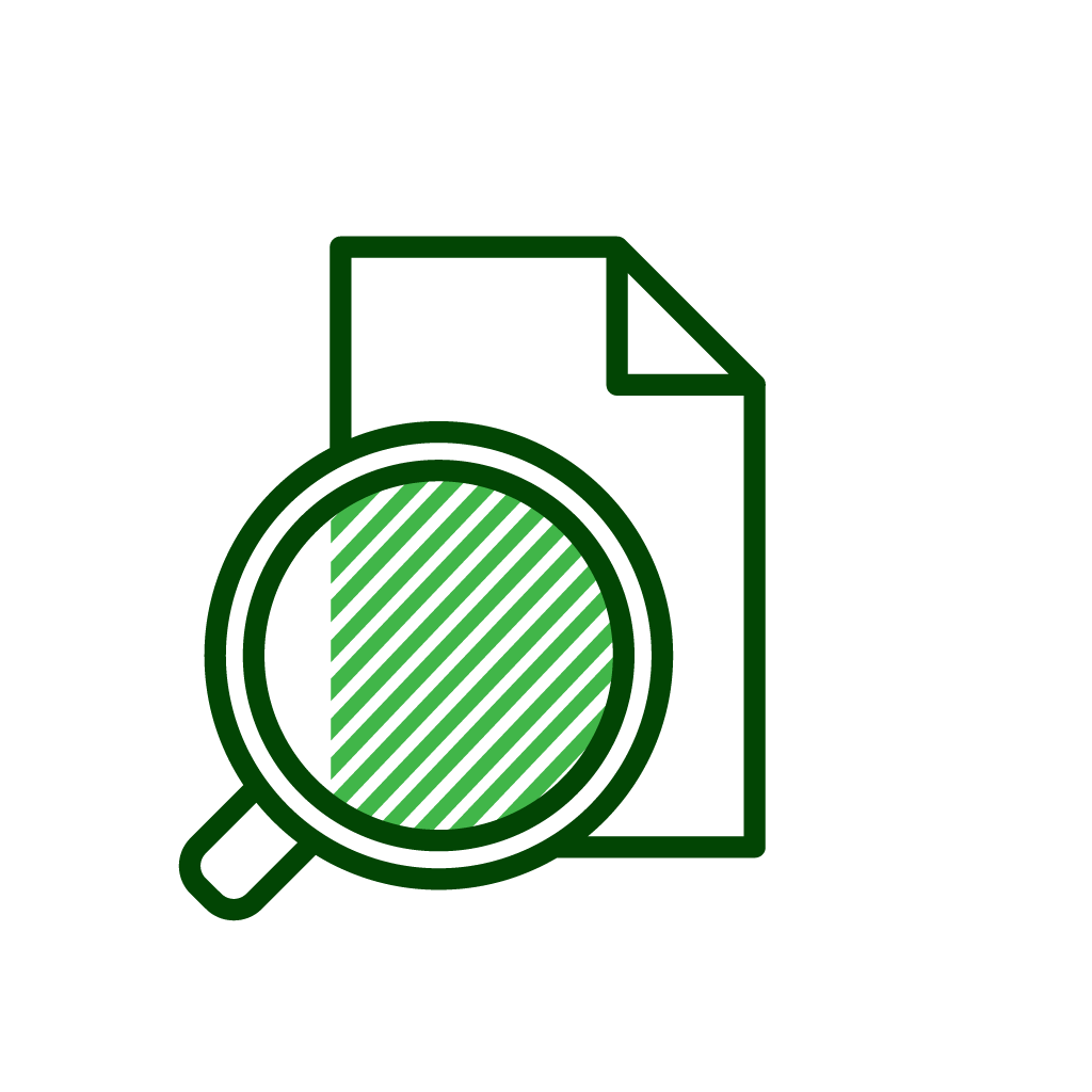 Icon of a document with a magnifying glass over it, representing a searching or inspecting a file.