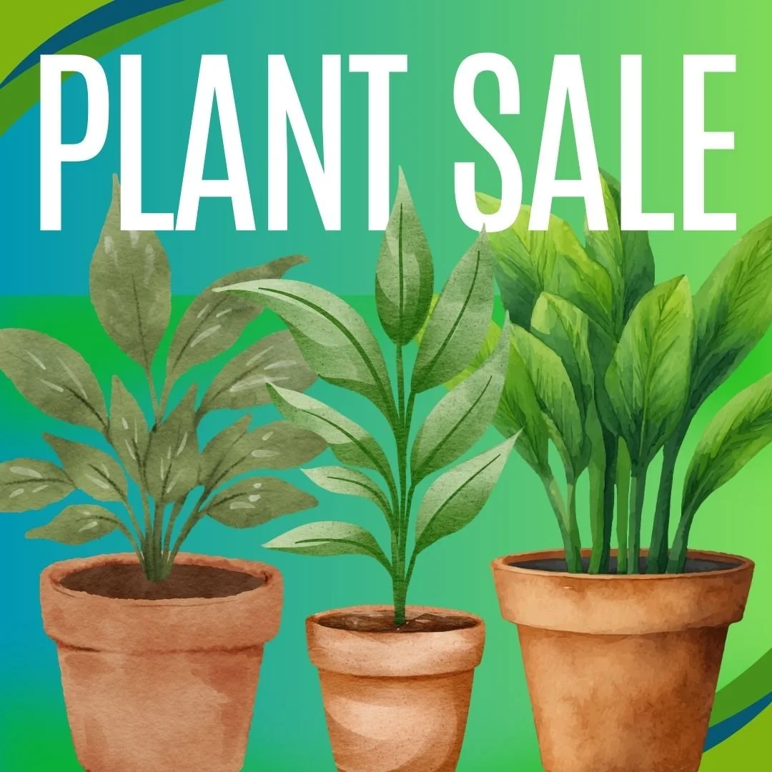 Plant Sale; Date TBC