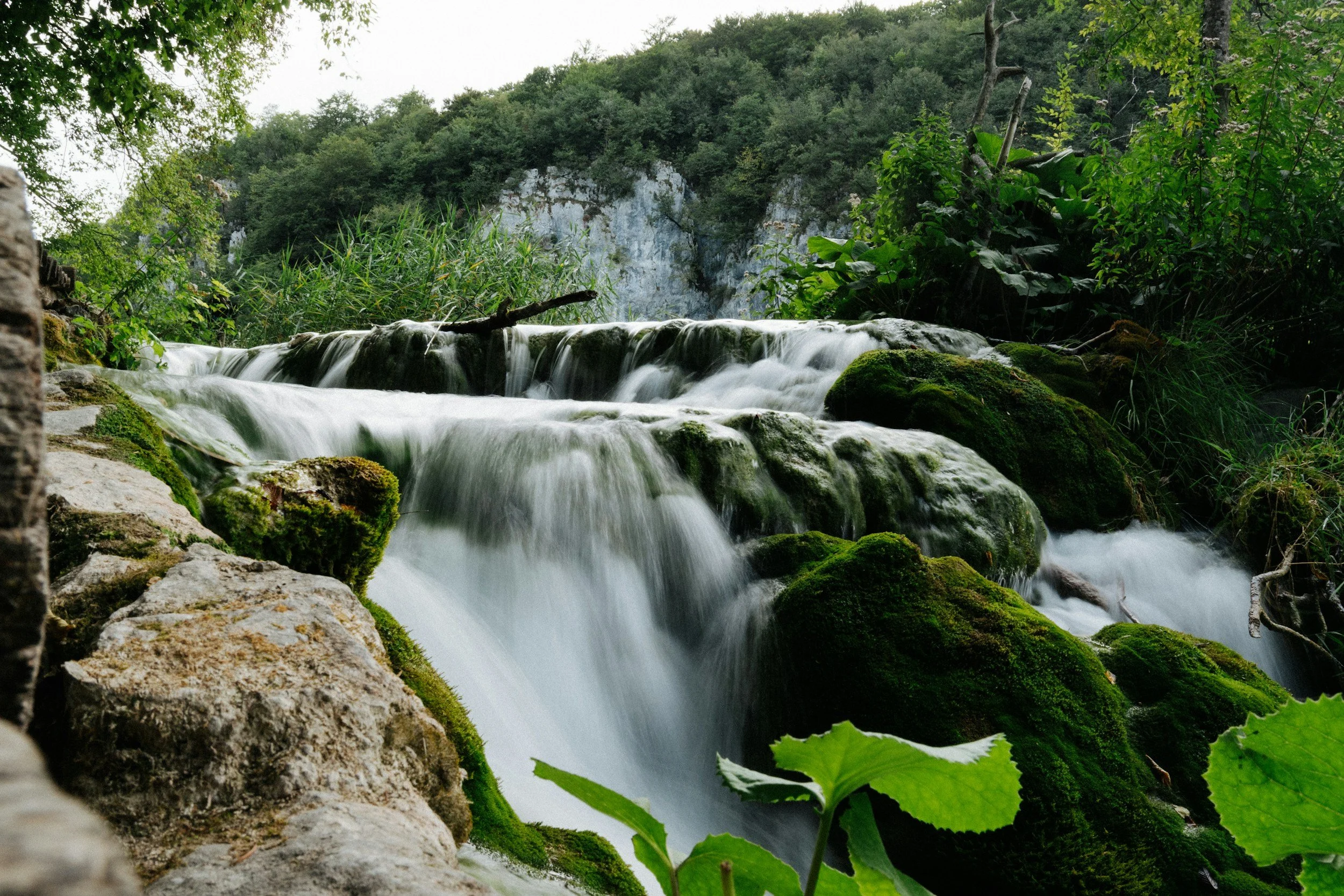 A small waterfall flowing over moss-covered rocks in a lush forest, with green foliage and trees in the background.